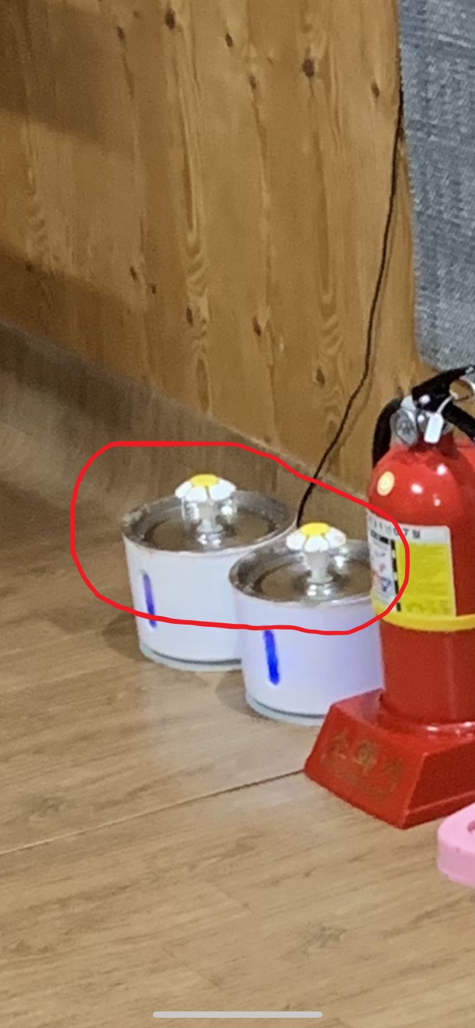 나비야놀자 라는 고양이카페를 빙자한 분양공장입니다. 너무 열악한 환경에 방치되어있습니다.