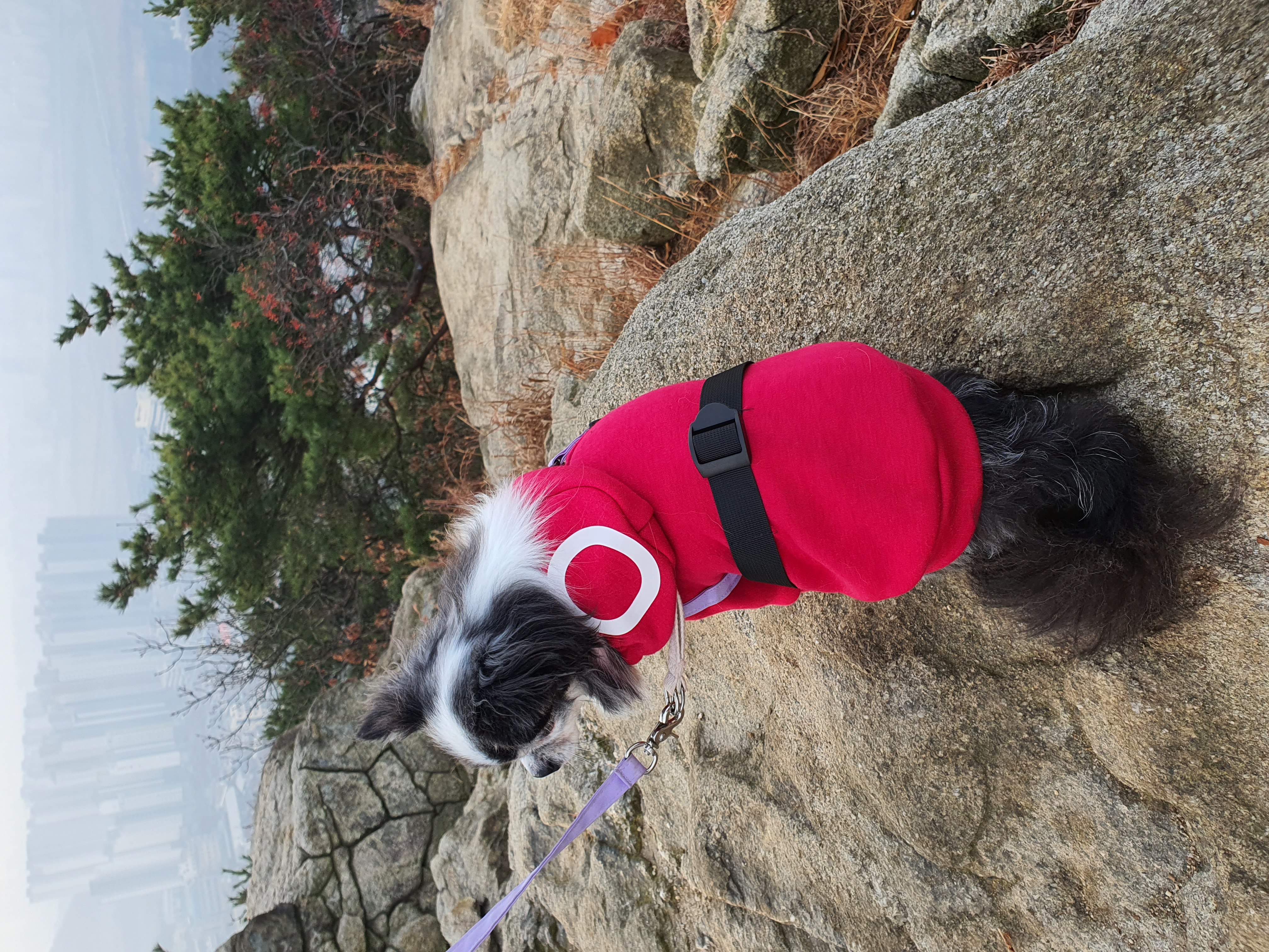 별(깜치)이는 잘지내고 있답니다