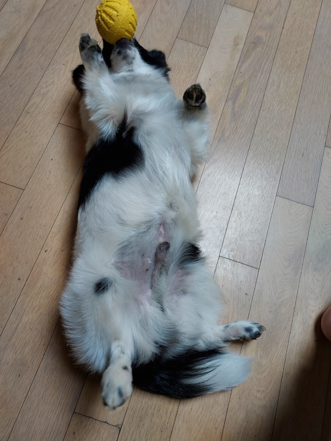 우리 하루의 성장기