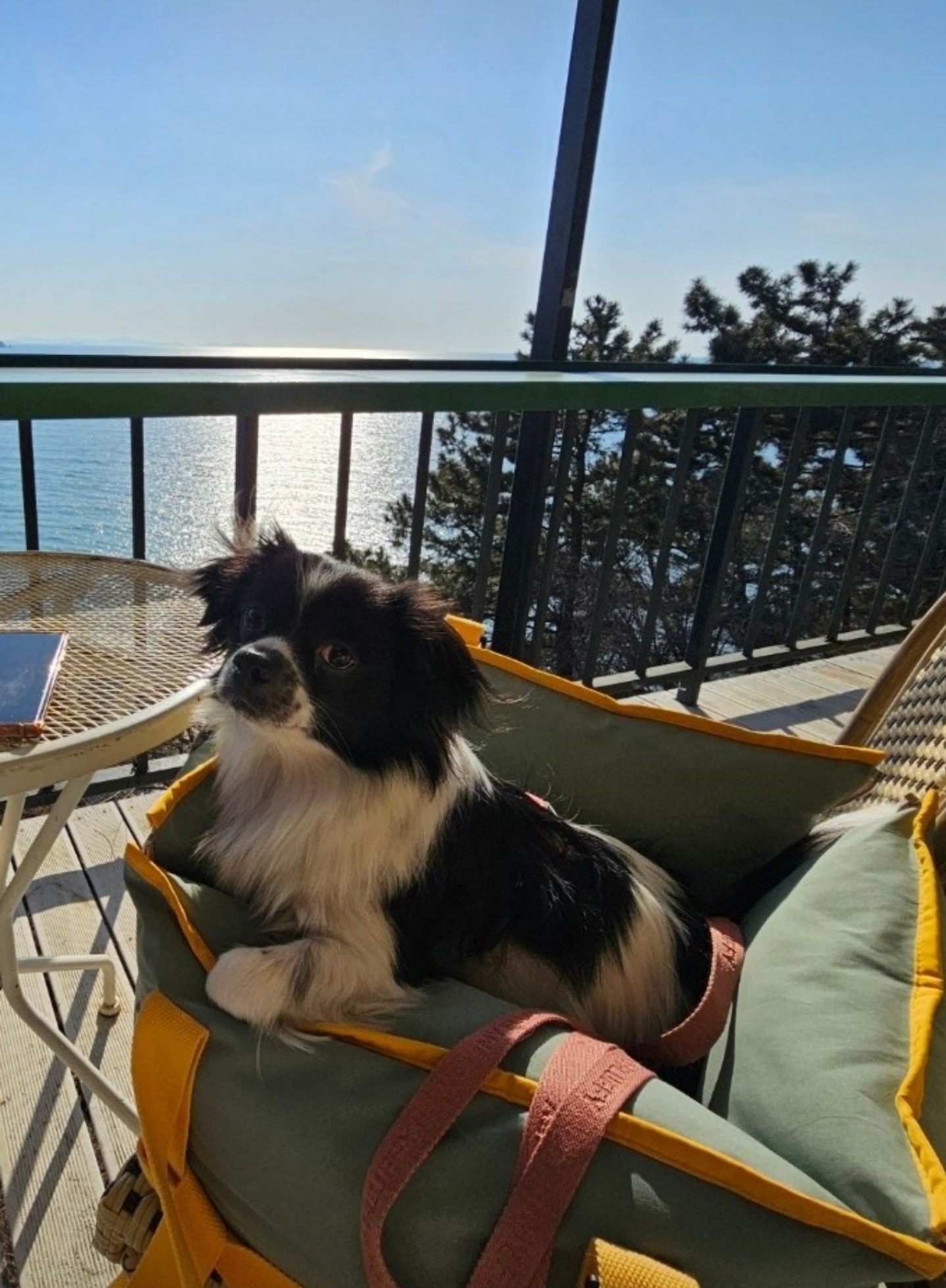 자이와 함께한 4년