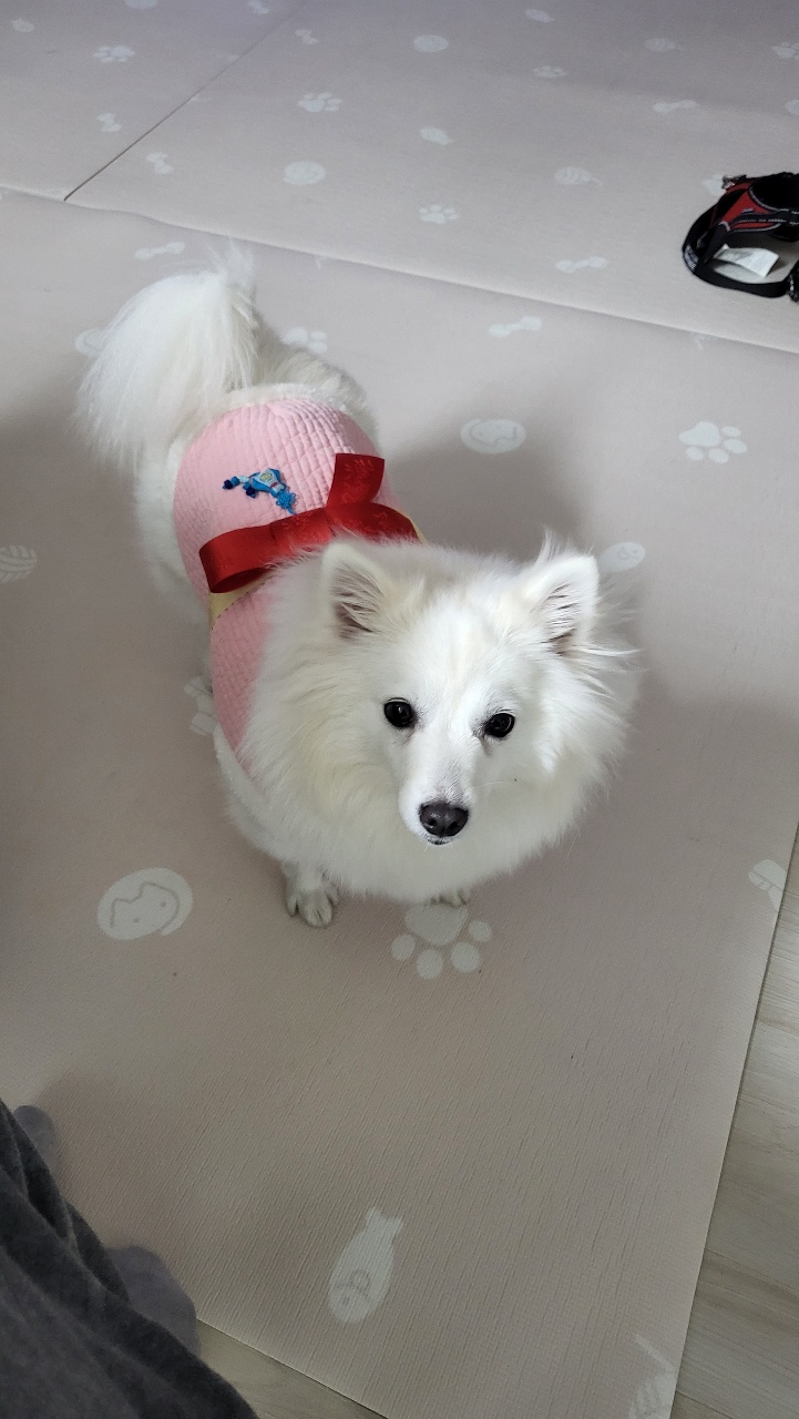 새해 첫 휘핑이에 패션쇼~