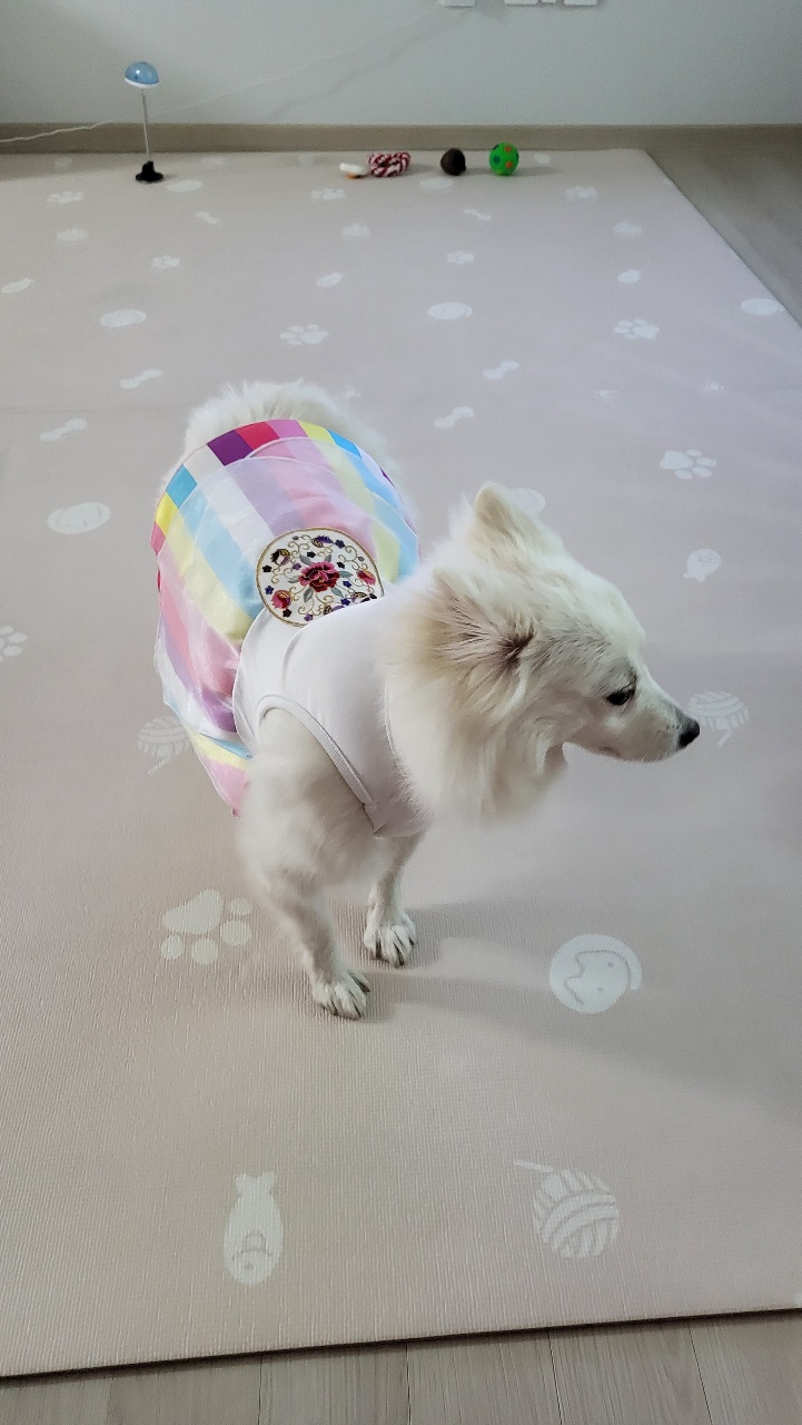 새해 첫 휘핑이에 패션쇼~