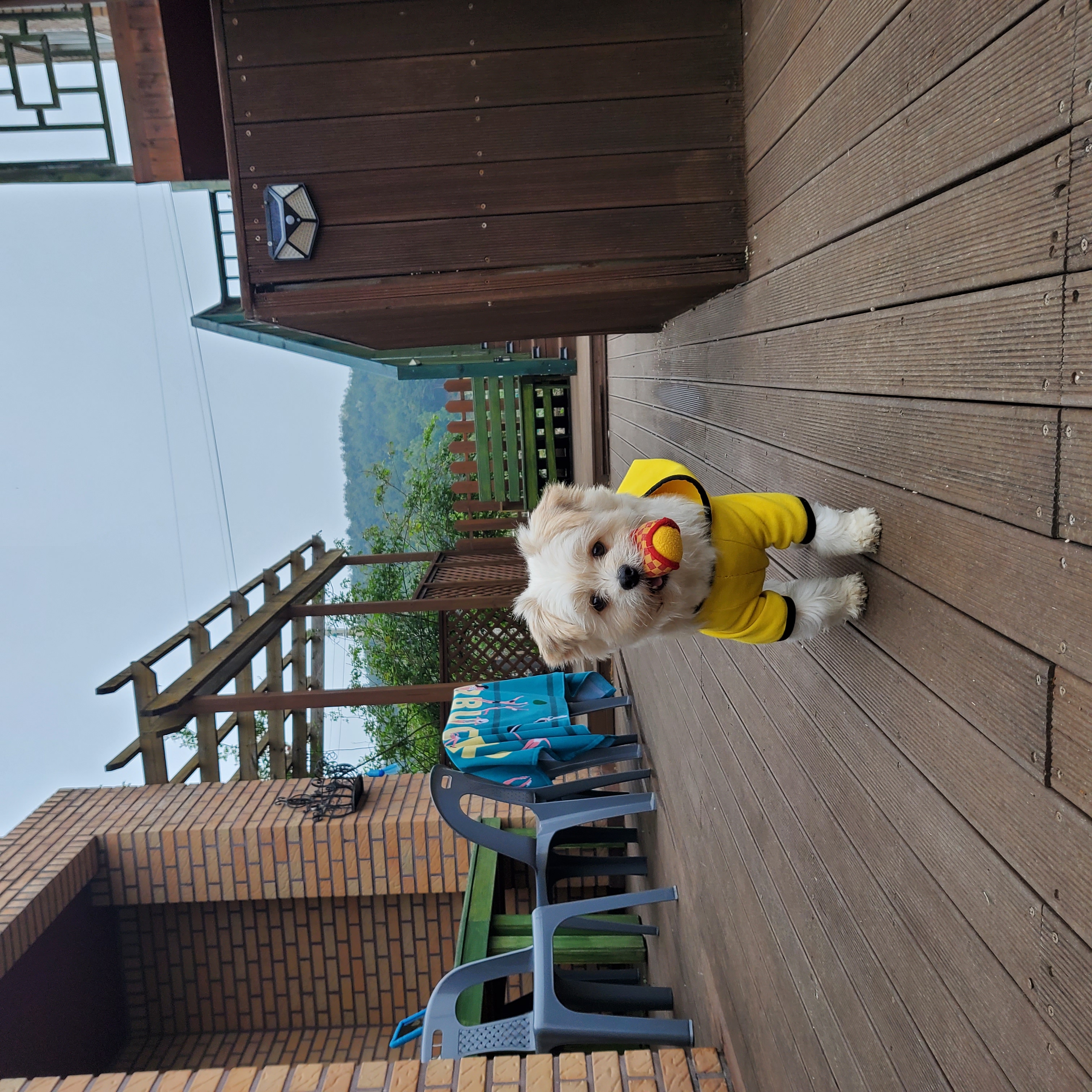 금돌이 1년이 지났네요^^