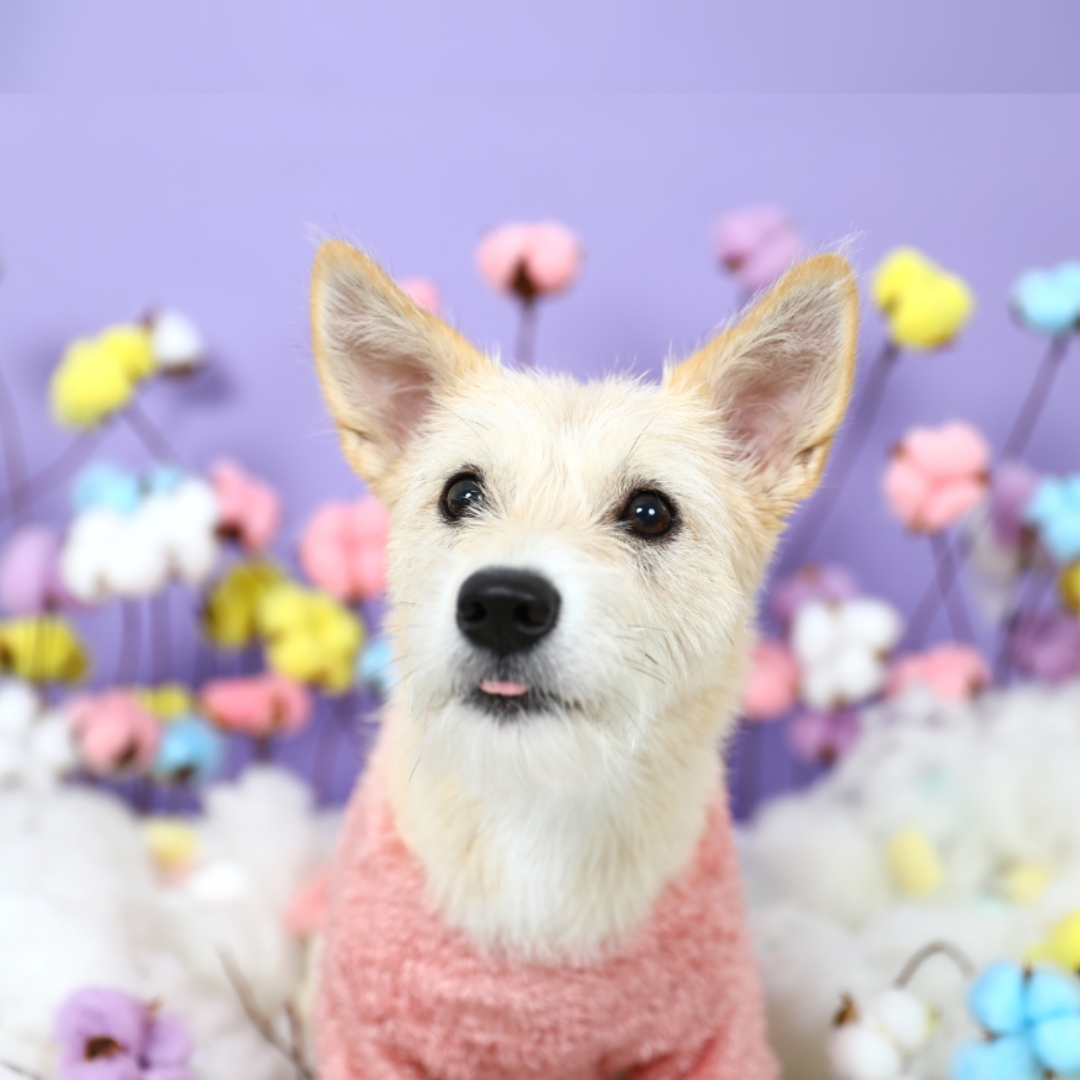 미루(구 마노) 1년 후기