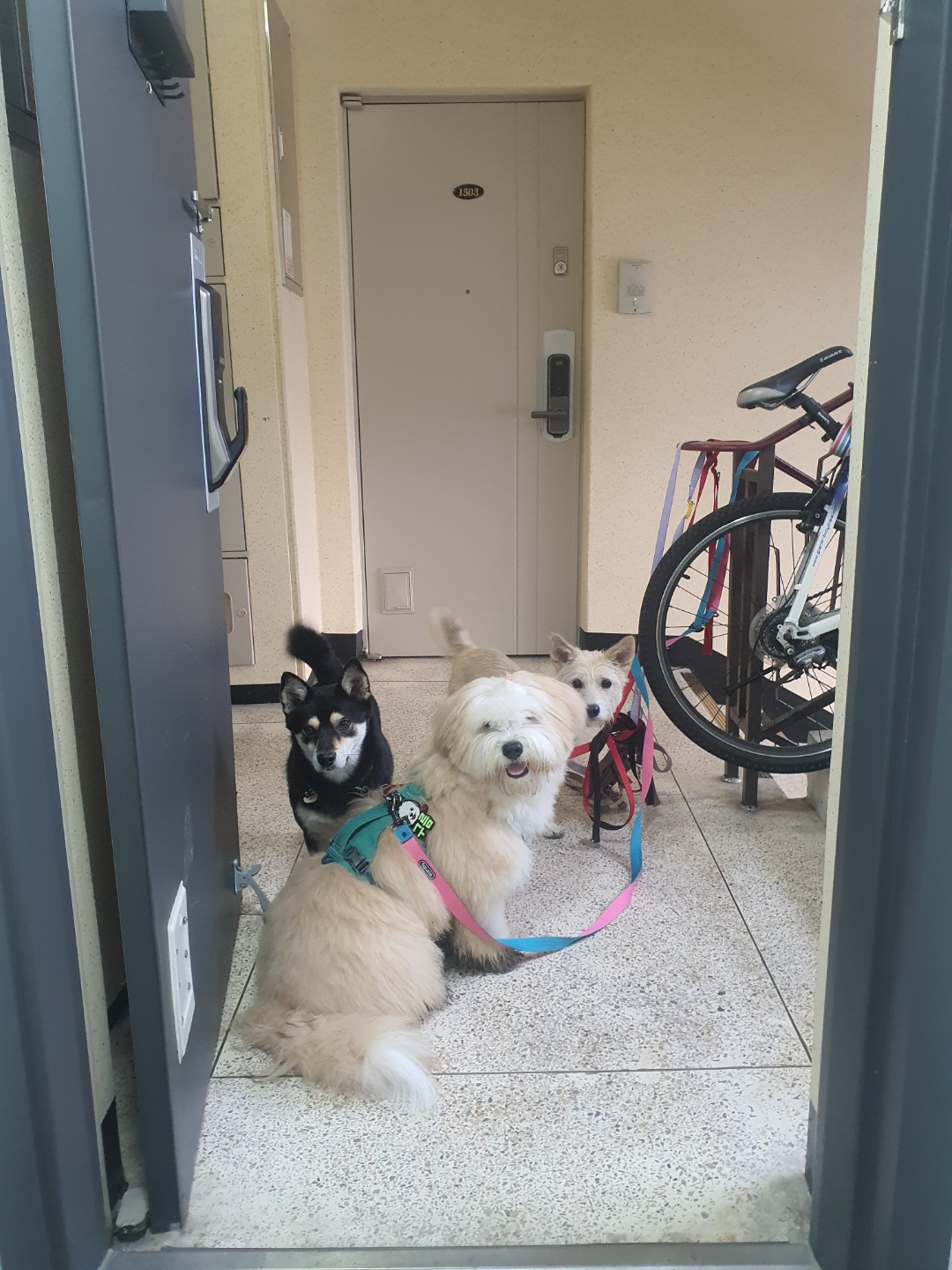 미루(구 마노) 1년 후기