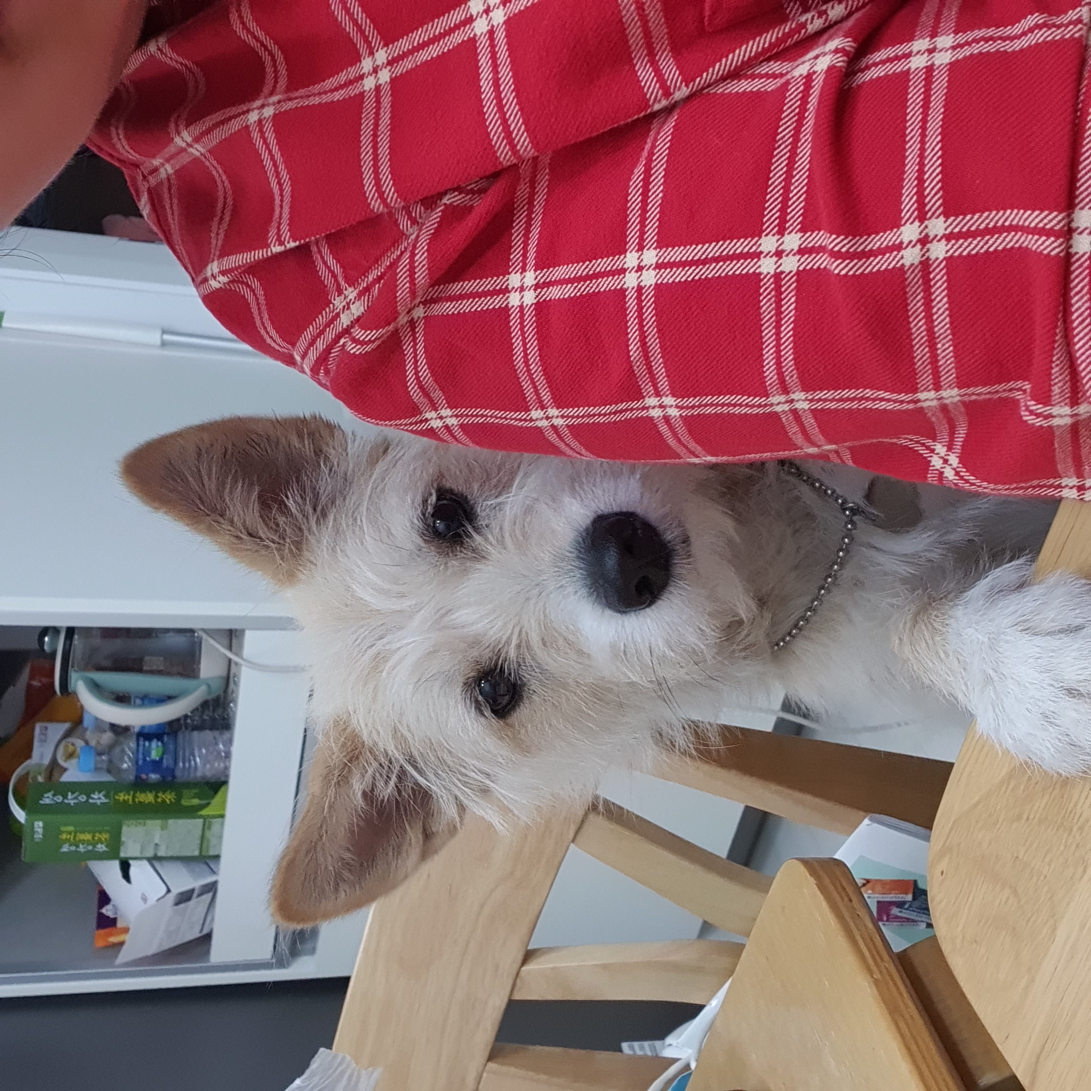 미루(구 마노) 1년 후기