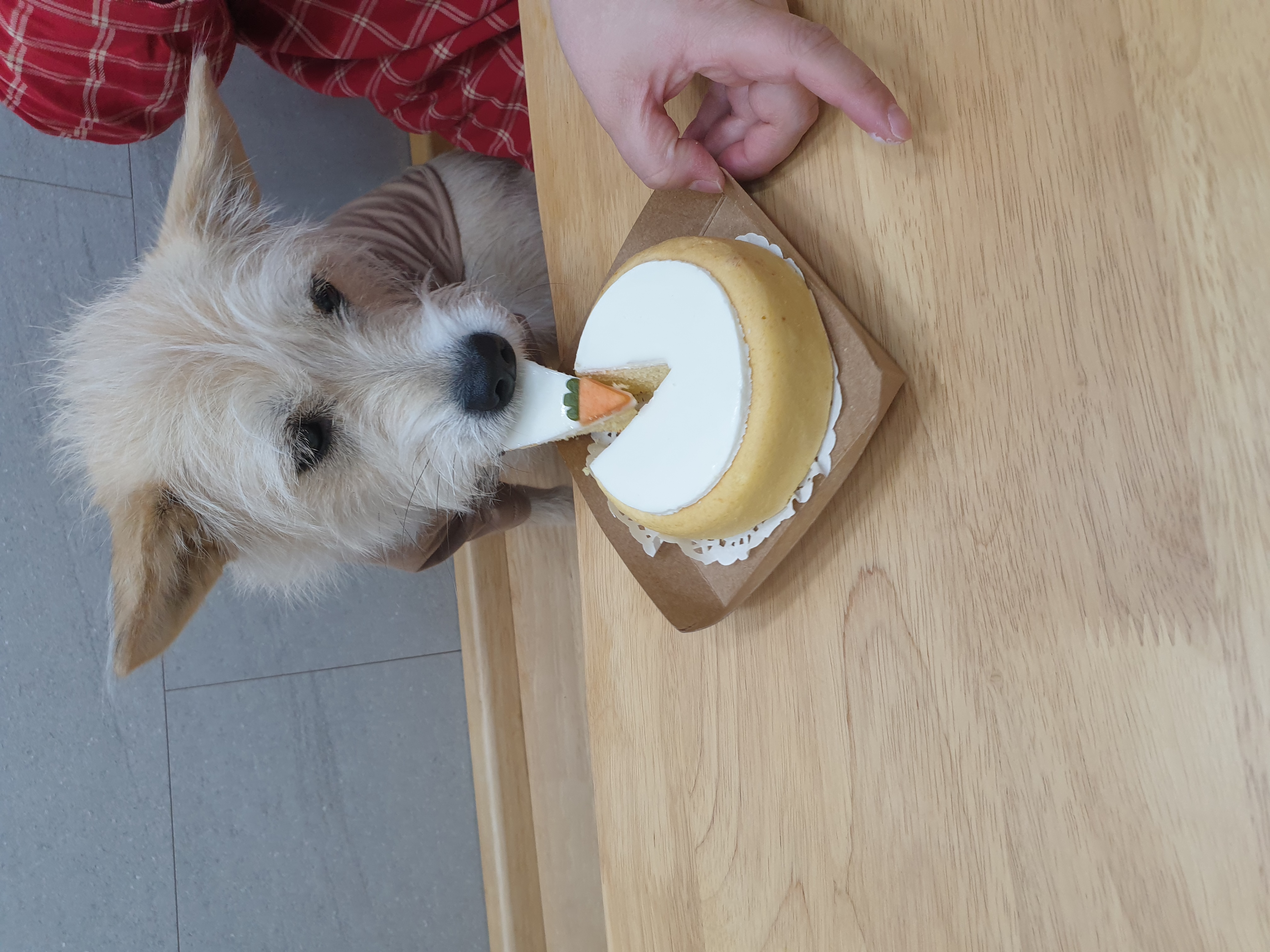 미루(구 마노) 1년 후기