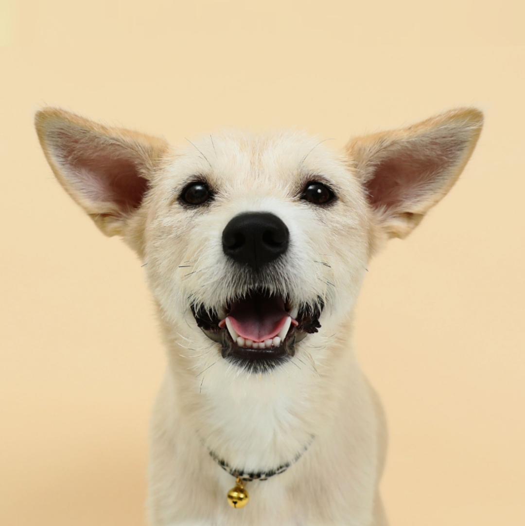 미루(구 마노) 1년 후기