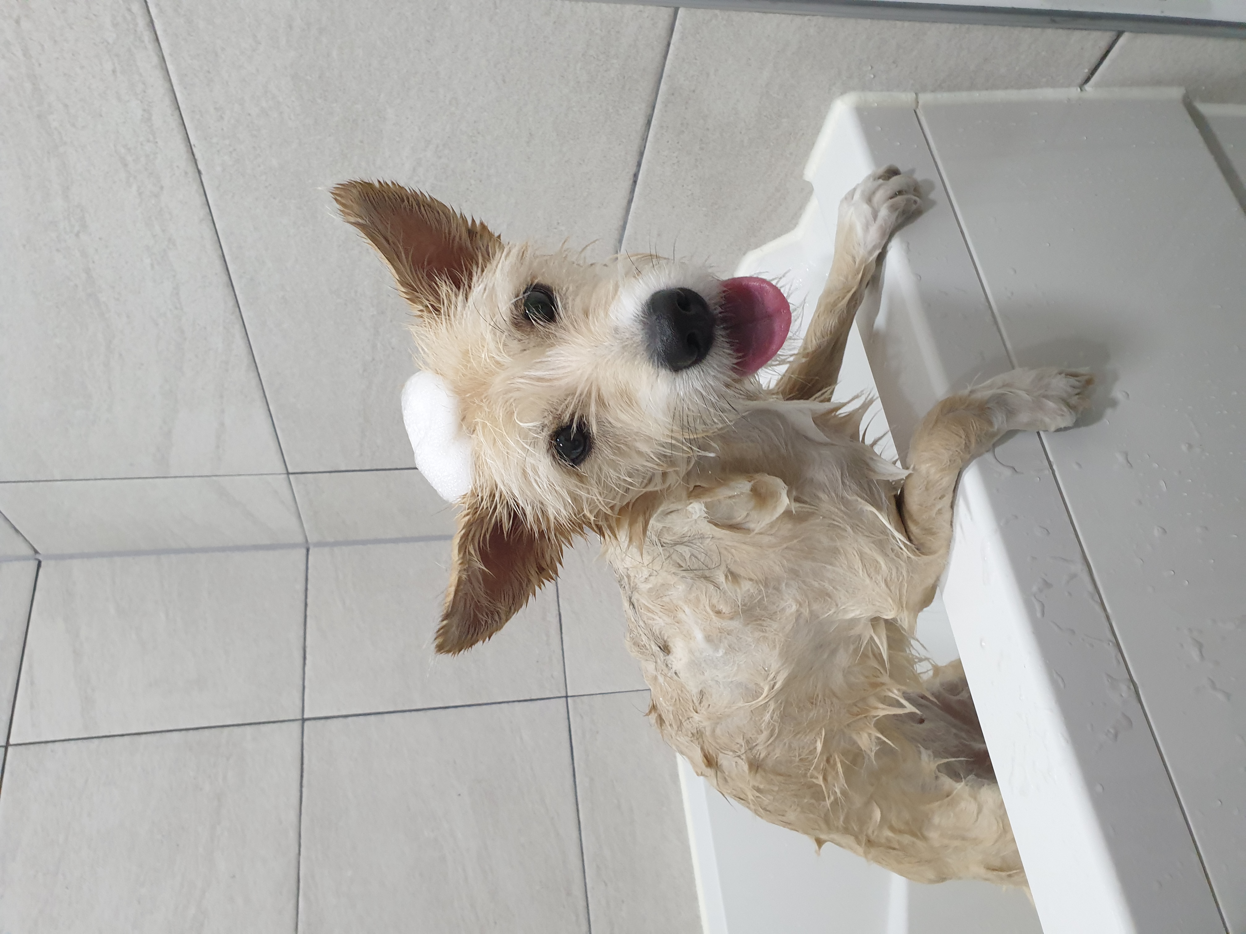 미루(구 마노) 1년 후기