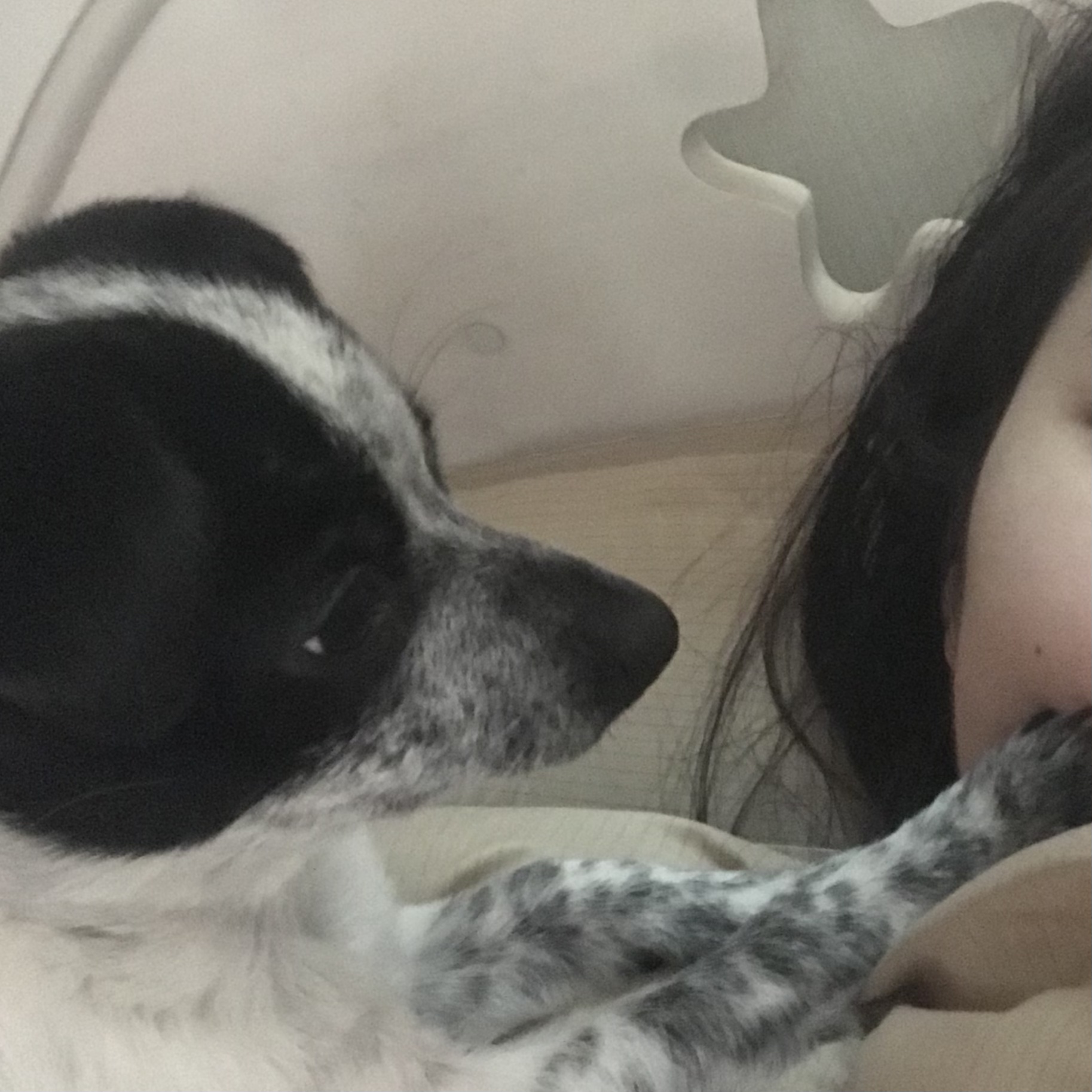 우유(짤랑이)와 함께한 지 D+120