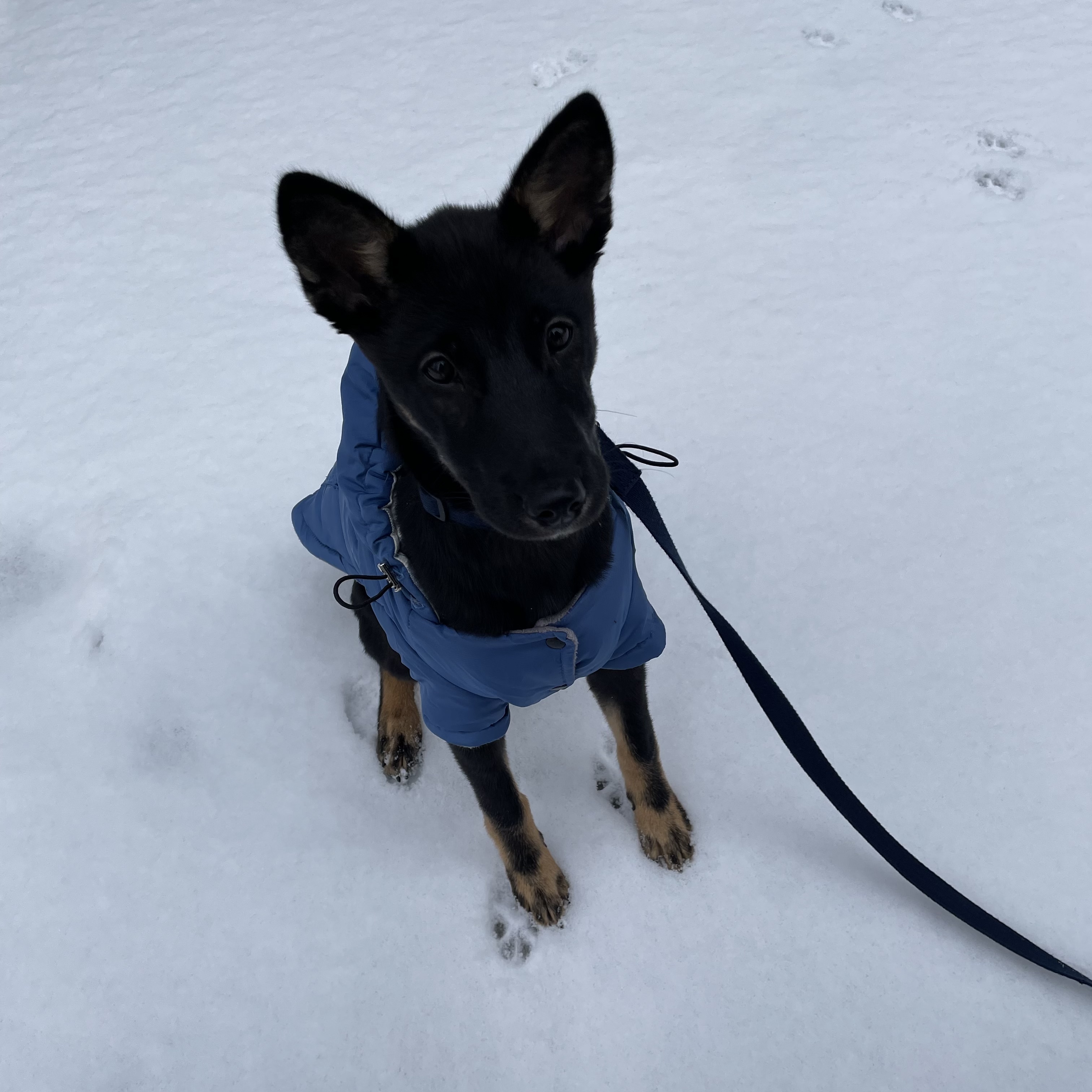 고미가 된 곰곰 두번째이야기