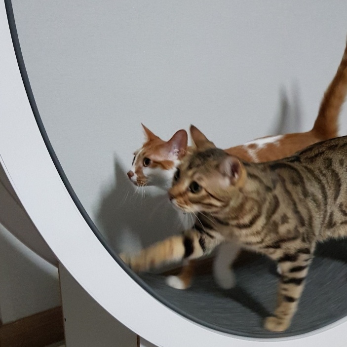 다빈이 올해로 6살