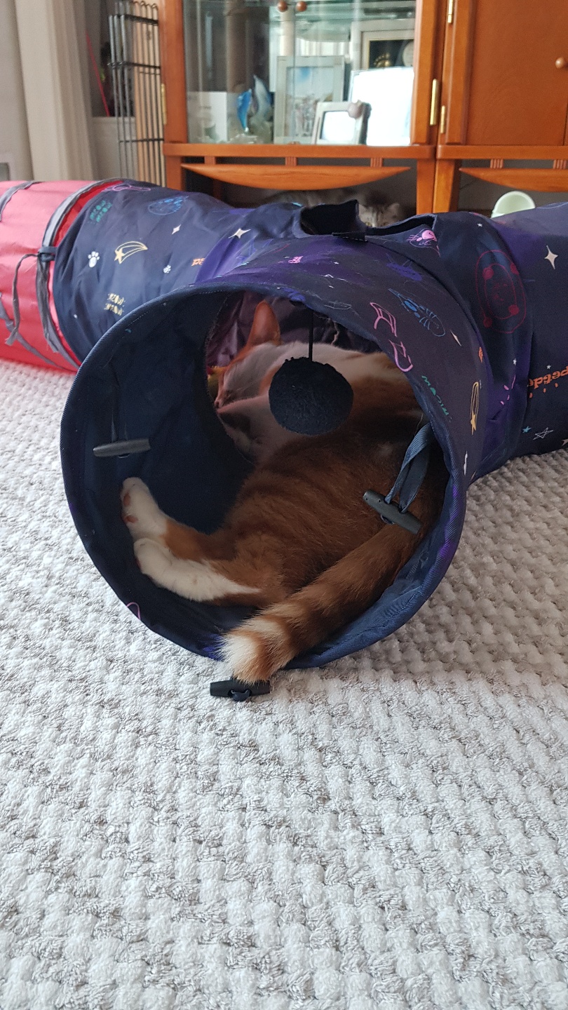 다빈이 올해로 6살