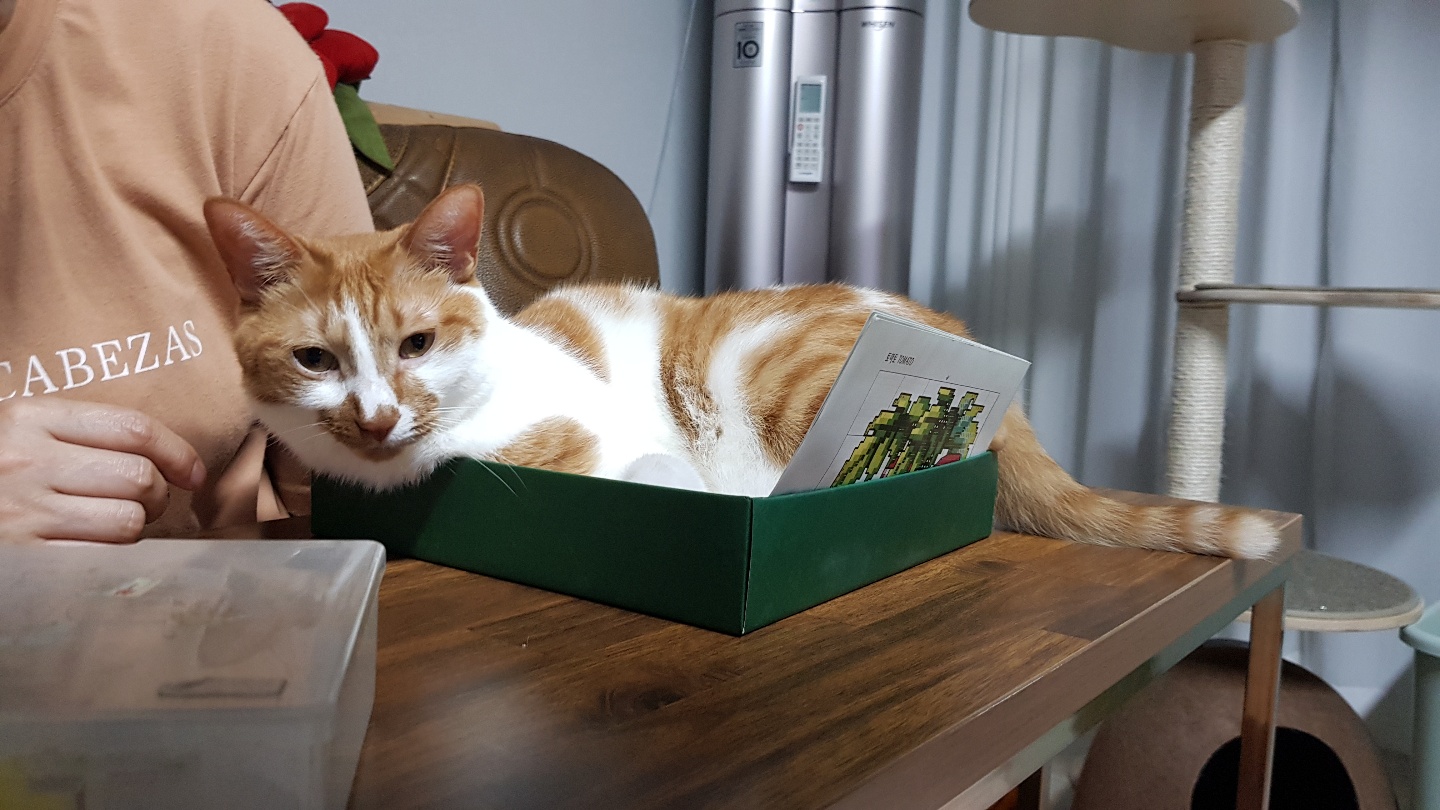 다빈이 올해로 6살