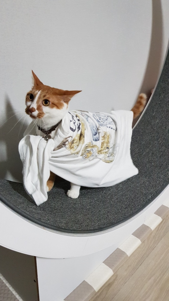 다빈이 올해로 6살