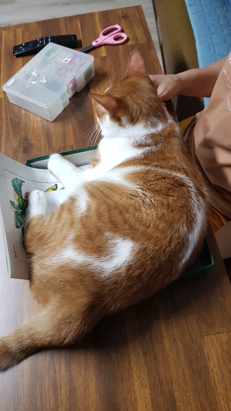 다빈이 올해로 6살