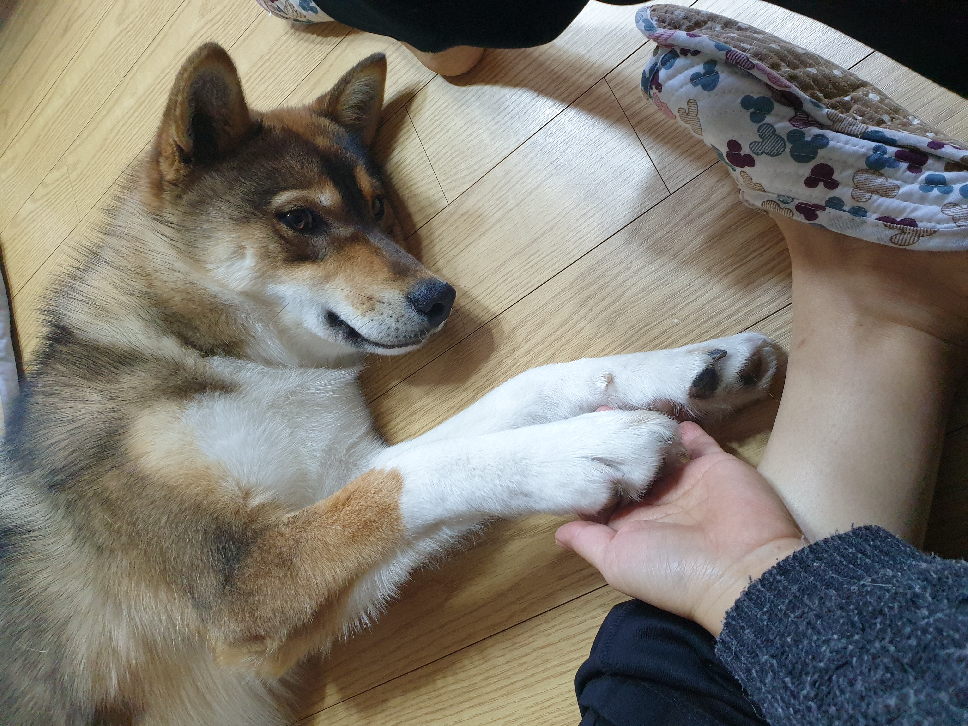 하다네집(한달)