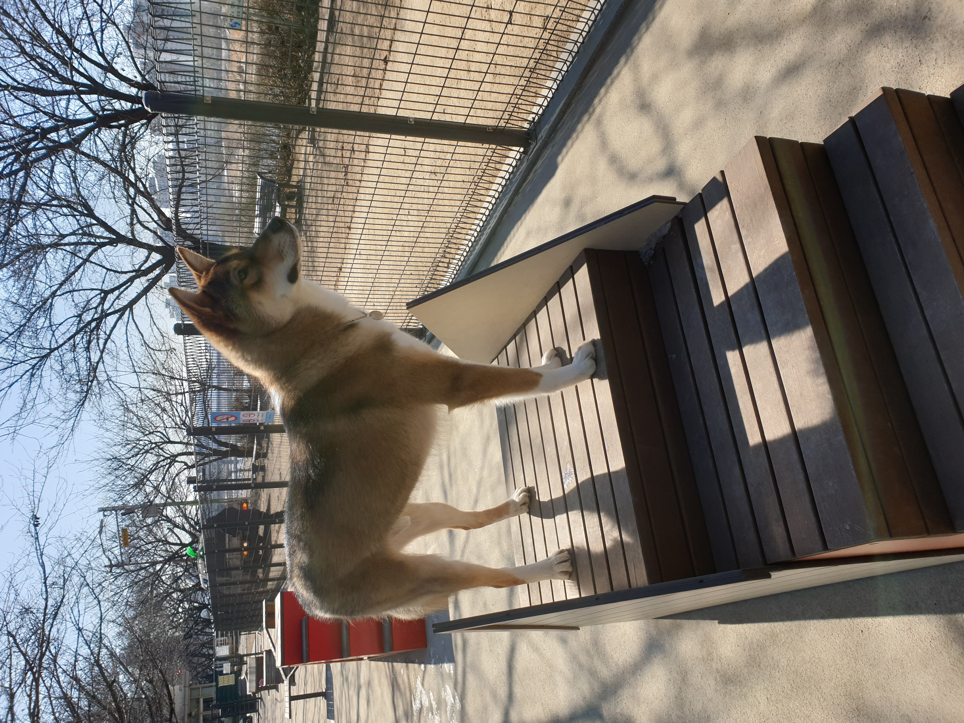 하다네집(한달)