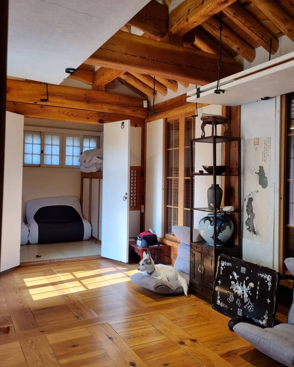 마블 (구 마네) 입양 1년 이야기