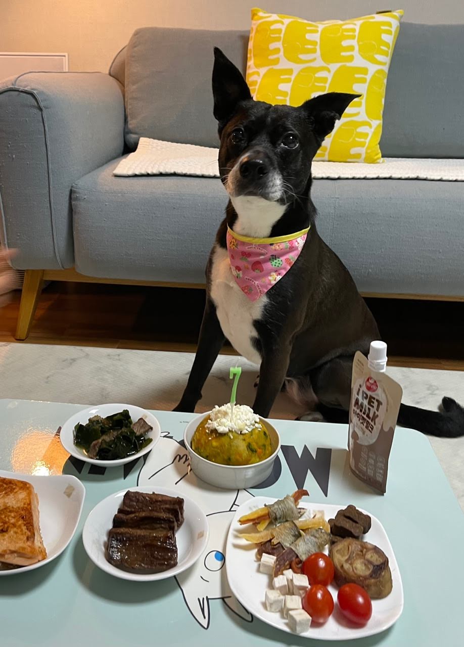 딩동이는 벌써 8살이에요.