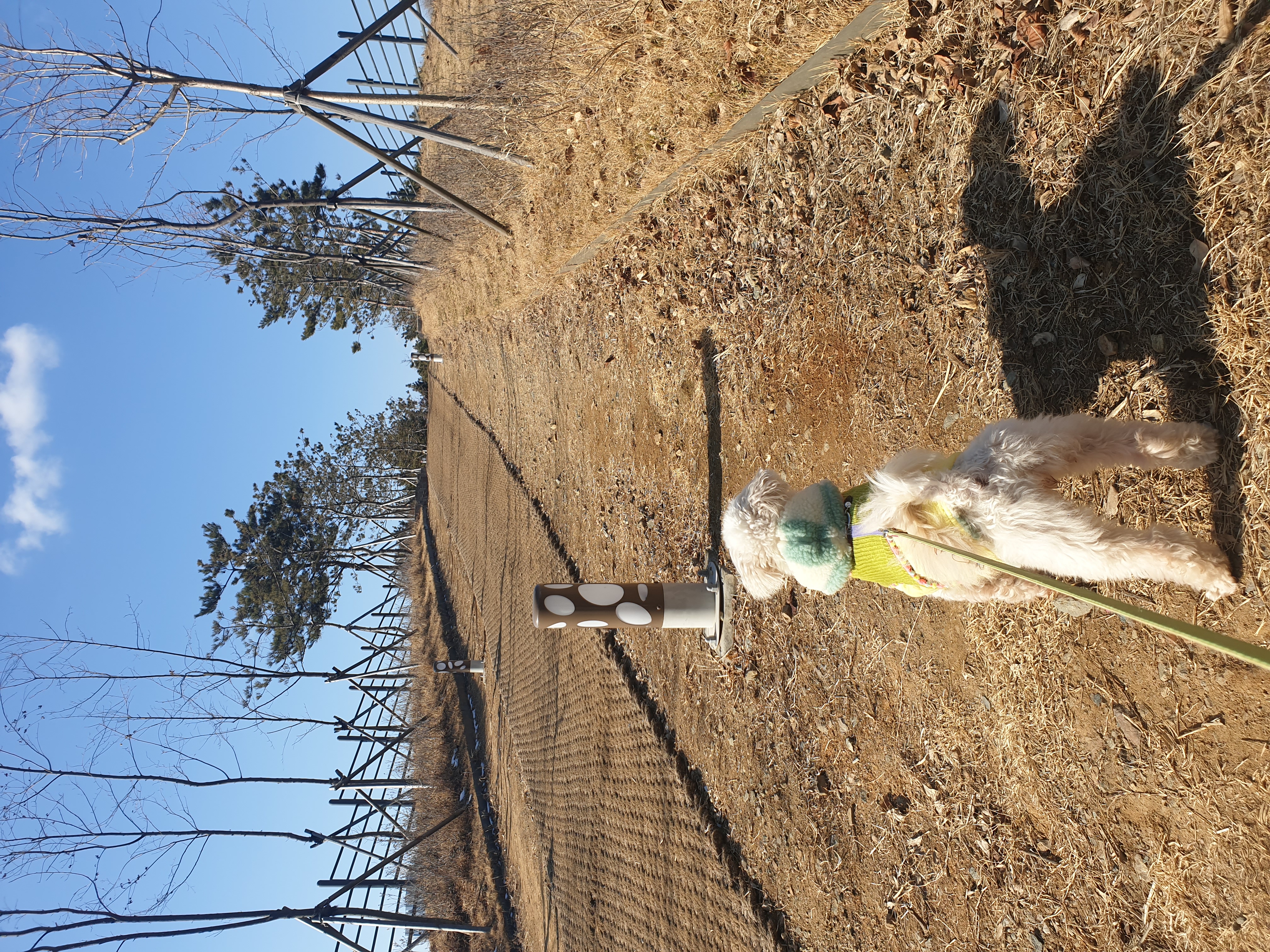 봉봉이와 함께 한지 1년이 되었네요^^