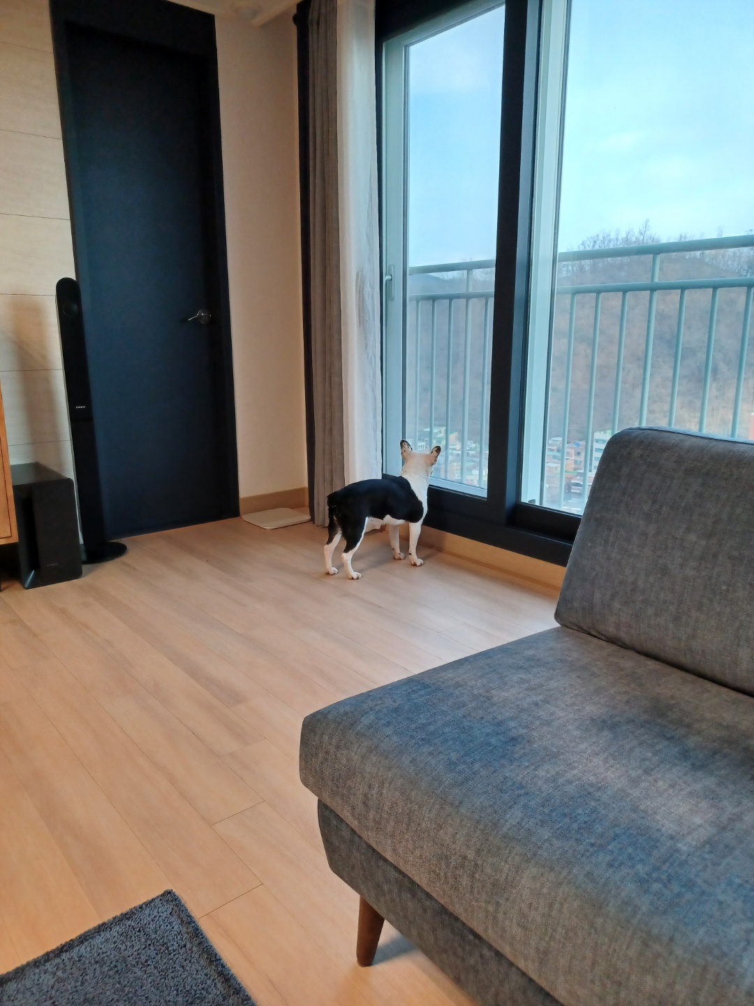 애둥이 온지 일주일째^^