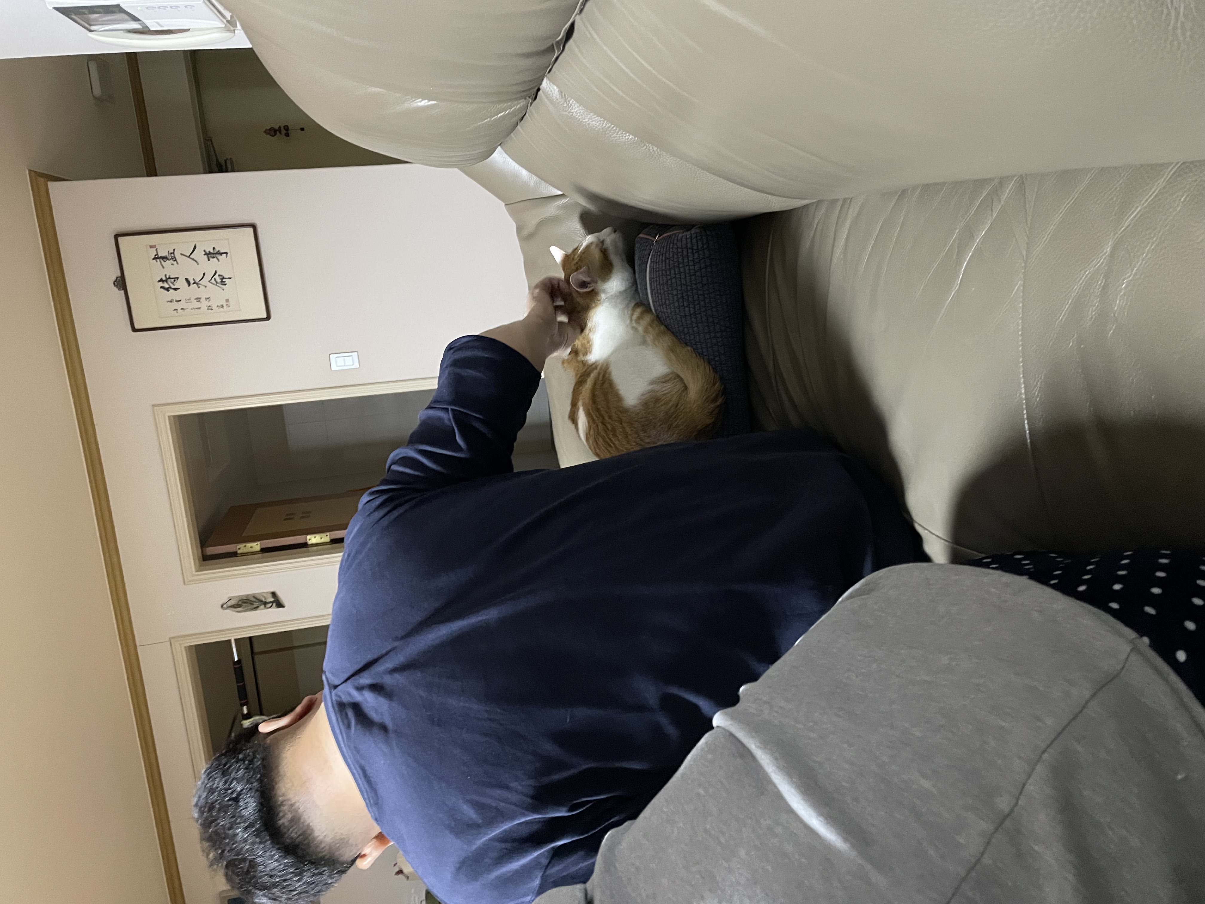 체다 (꼬꼬) 한달 적응기