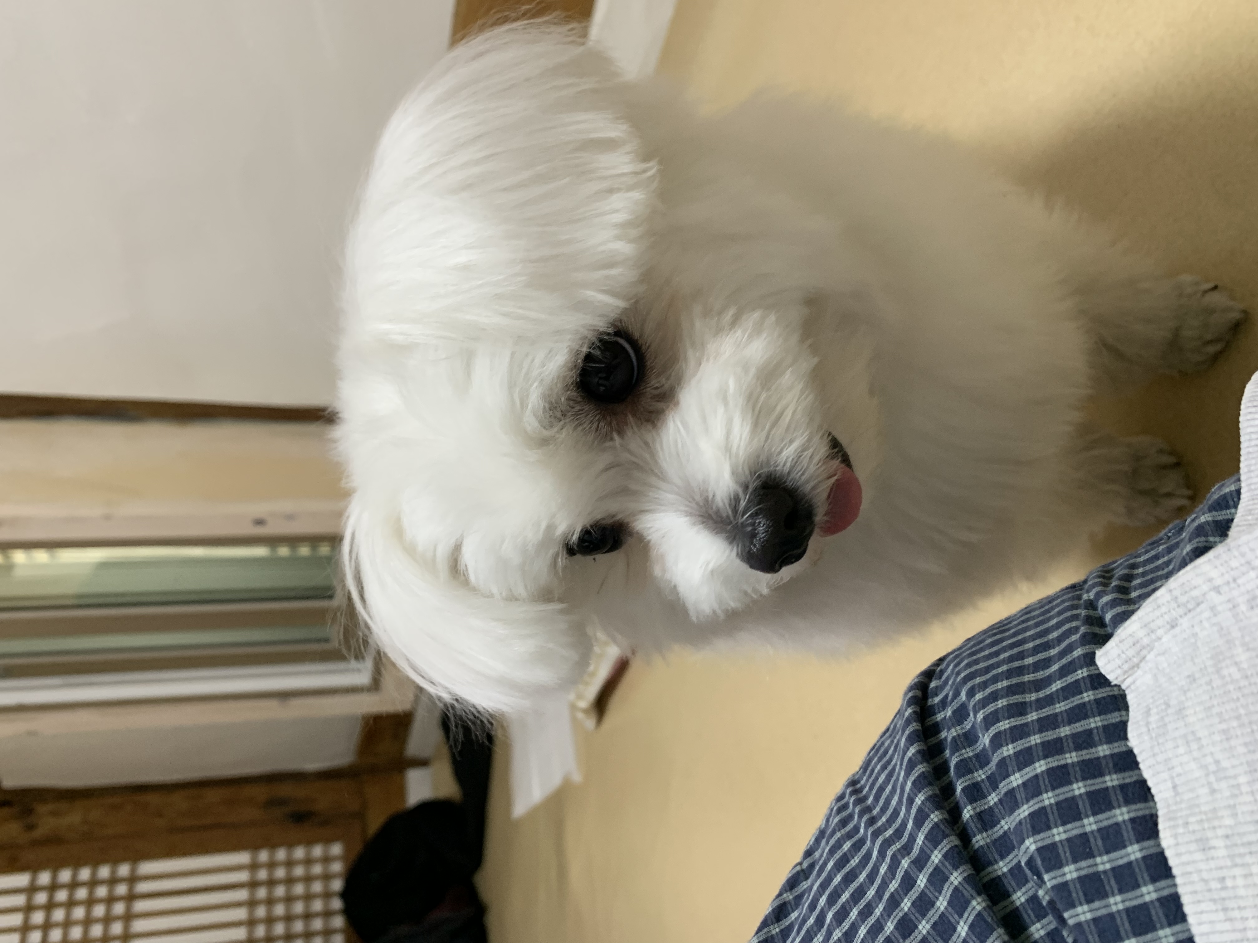 초코(동자연_뿌꾸), 이슬이(동자연_이슬이)