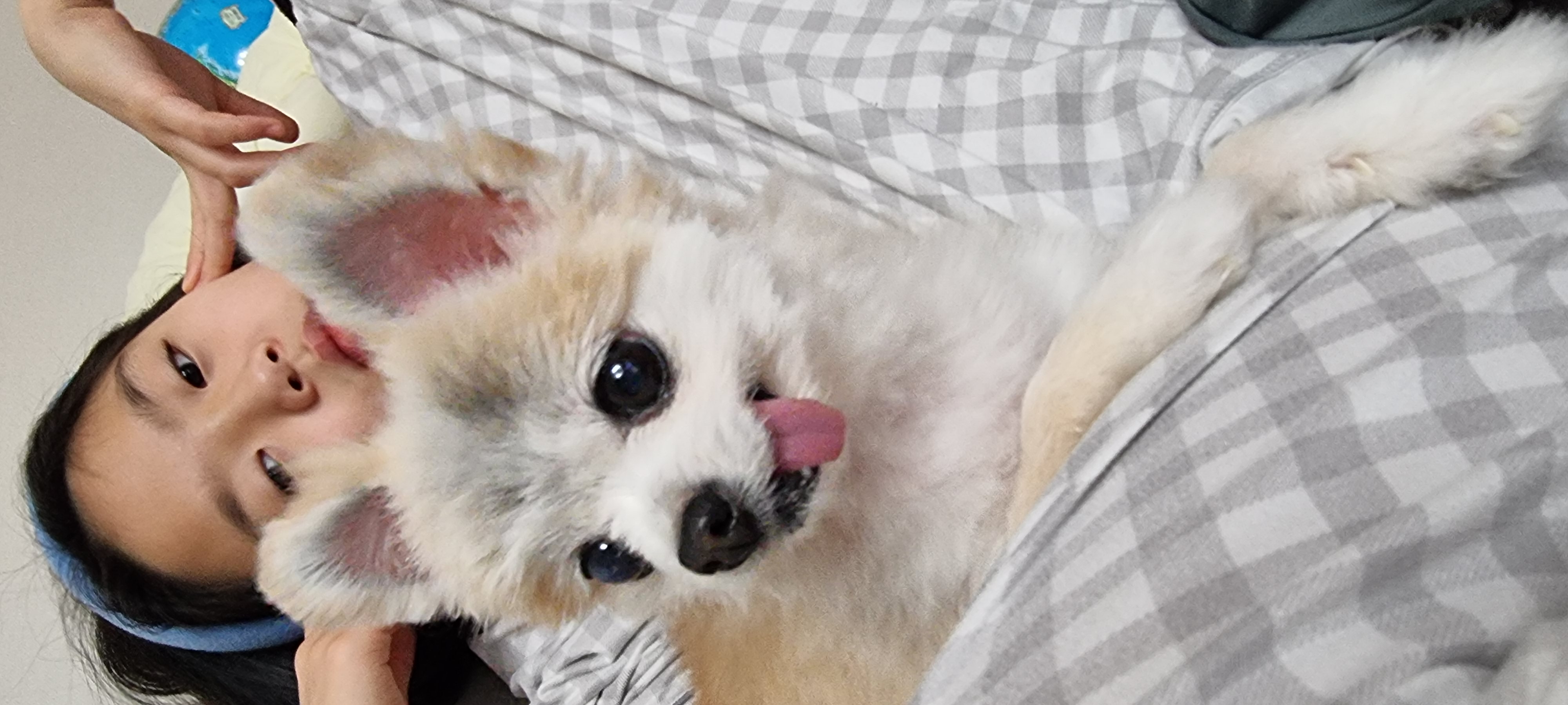 캔디입양 4년차