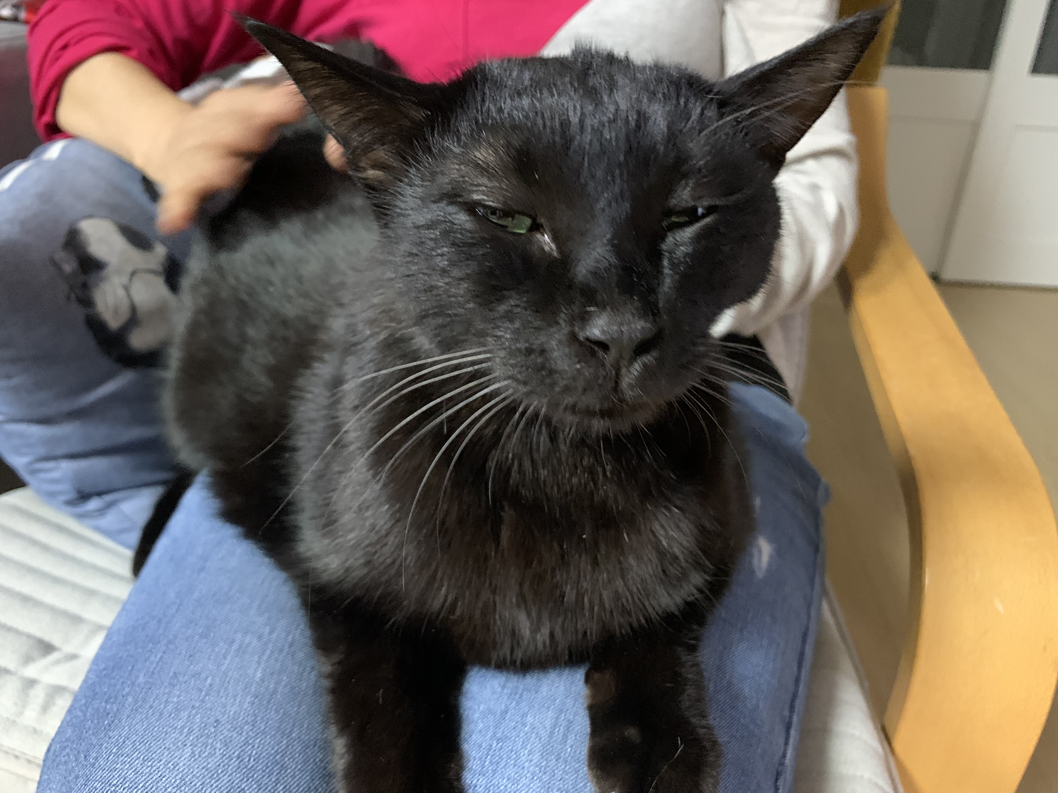 우리 동우 이원의 깜찍 사랑스런 모습들입니다