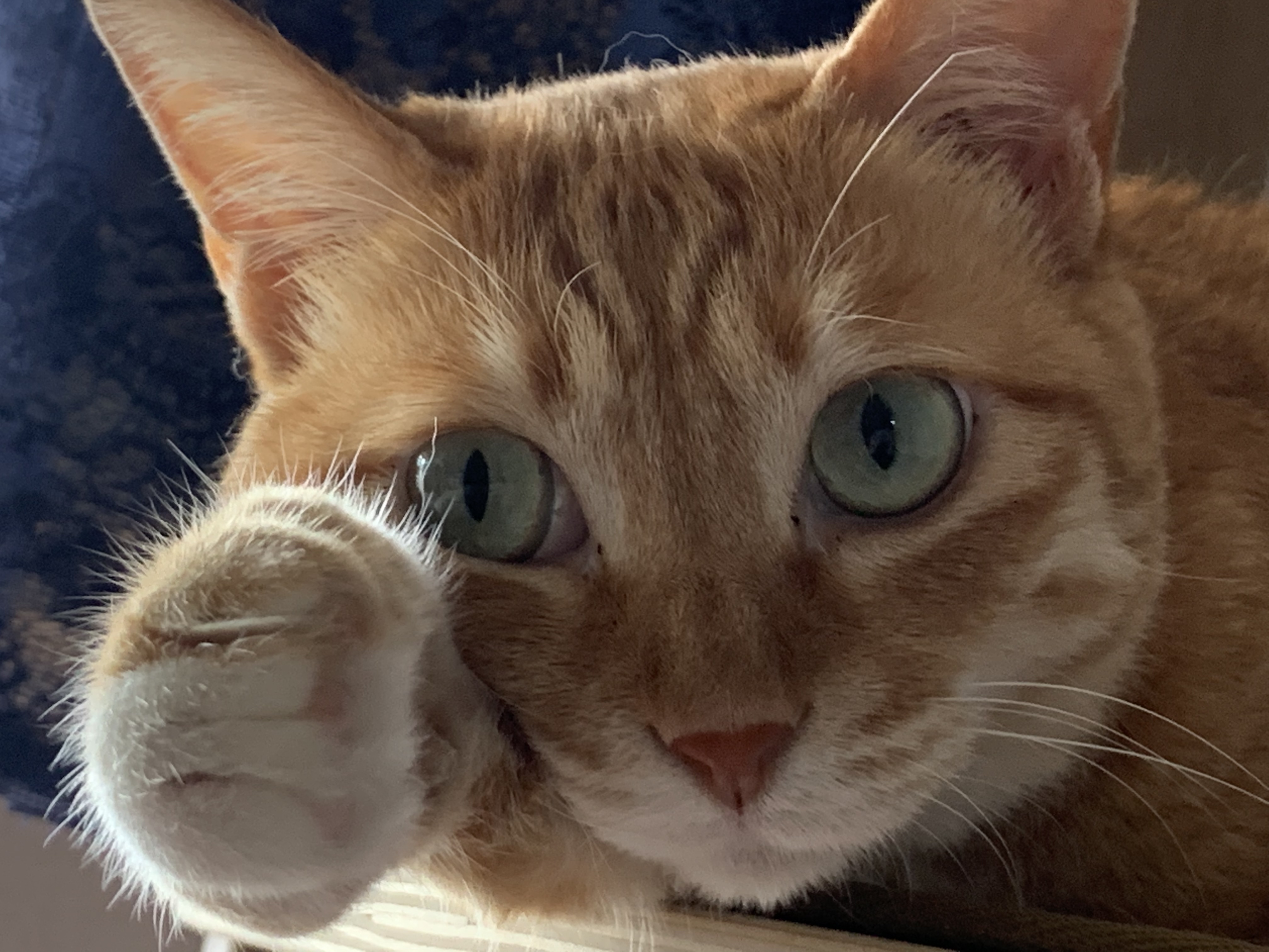 우리 동우 이원의 깜찍 사랑스런 모습들입니다