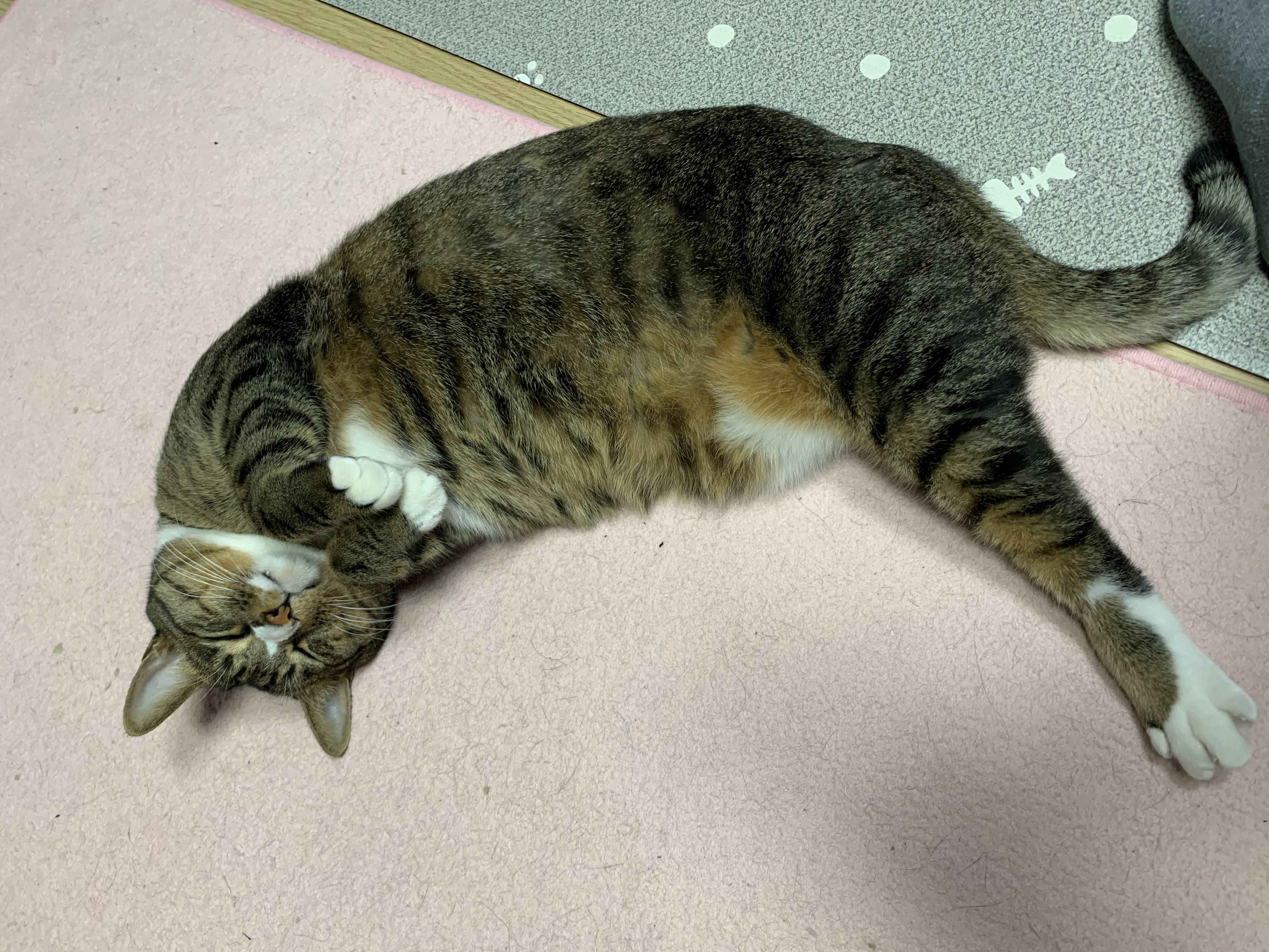 우리 동우 이원의 깜찍 사랑스런 모습들입니다