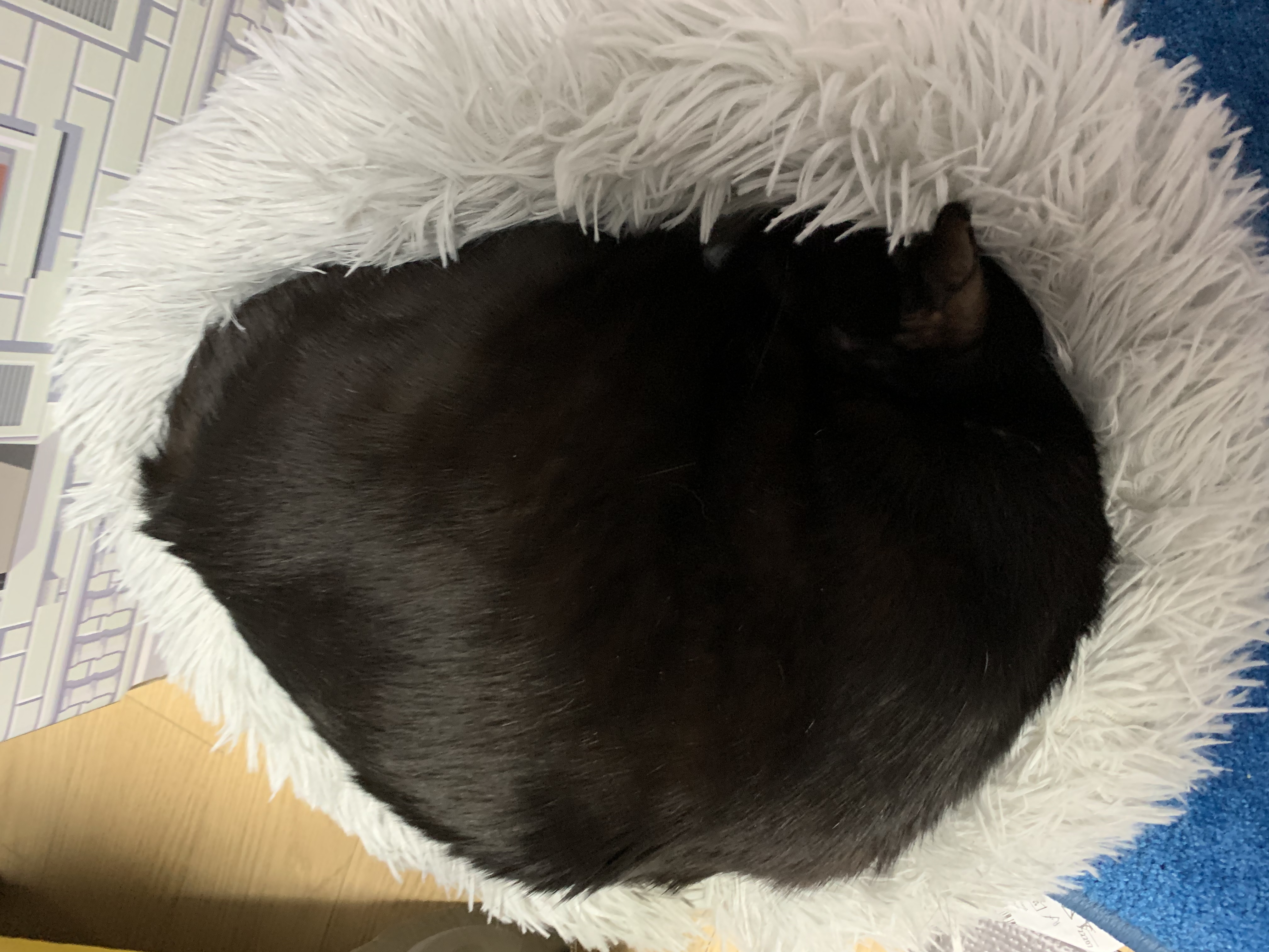 우리 동우 이원의 깜찍 사랑스런 모습들입니다