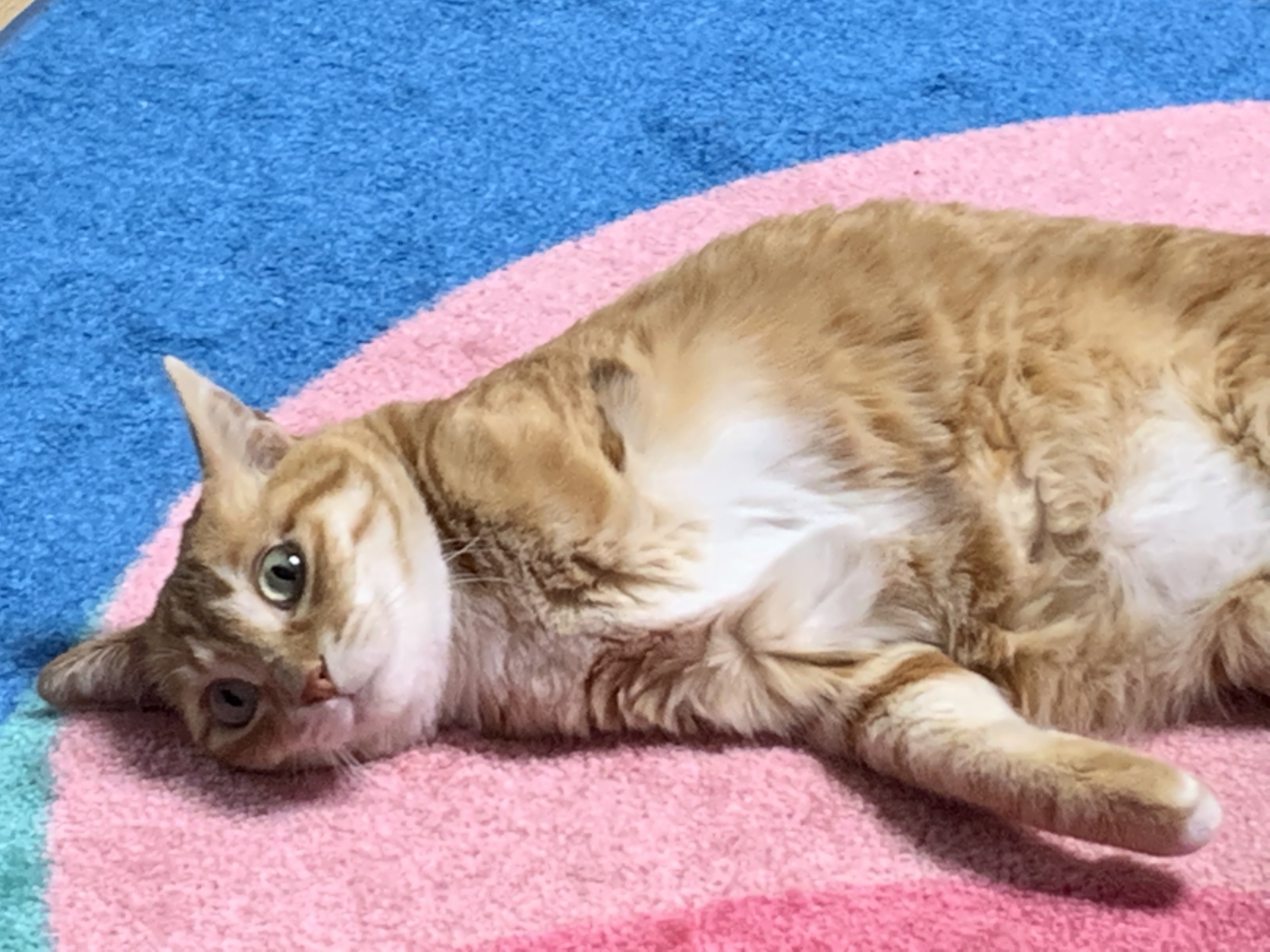 우리 동우 이원의 깜찍 사랑스런 모습들입니다