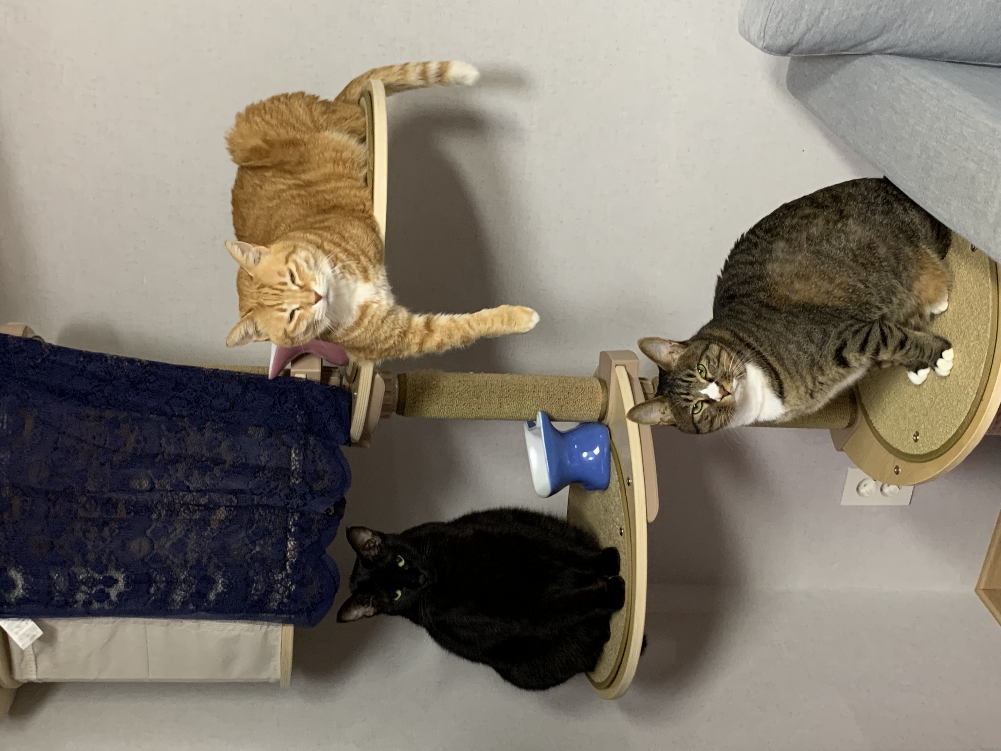 우리 동우 이원의 깜찍 사랑스런 모습들입니다