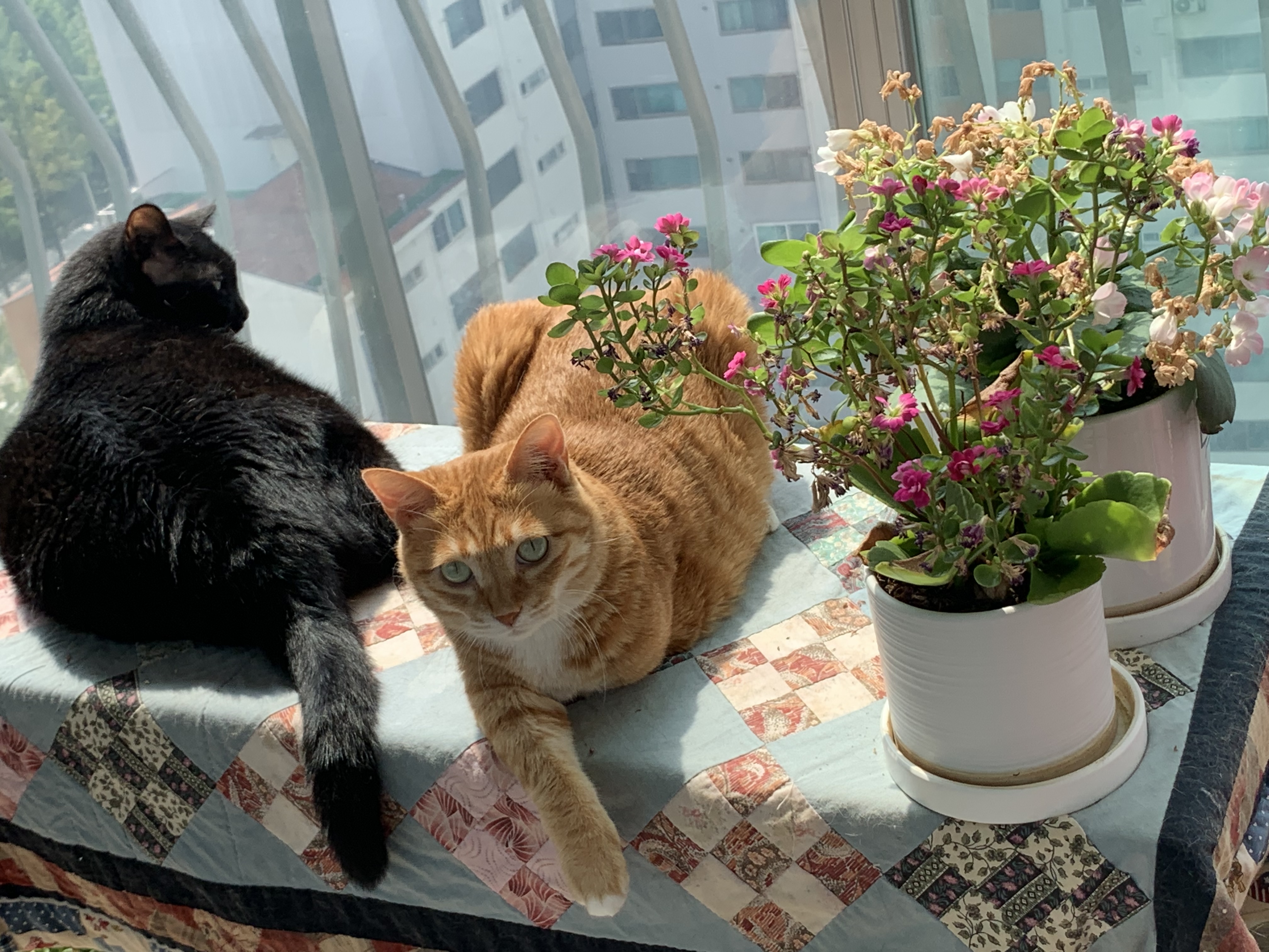 우리 동우 이원의 깜찍 사랑스런 모습들입니다