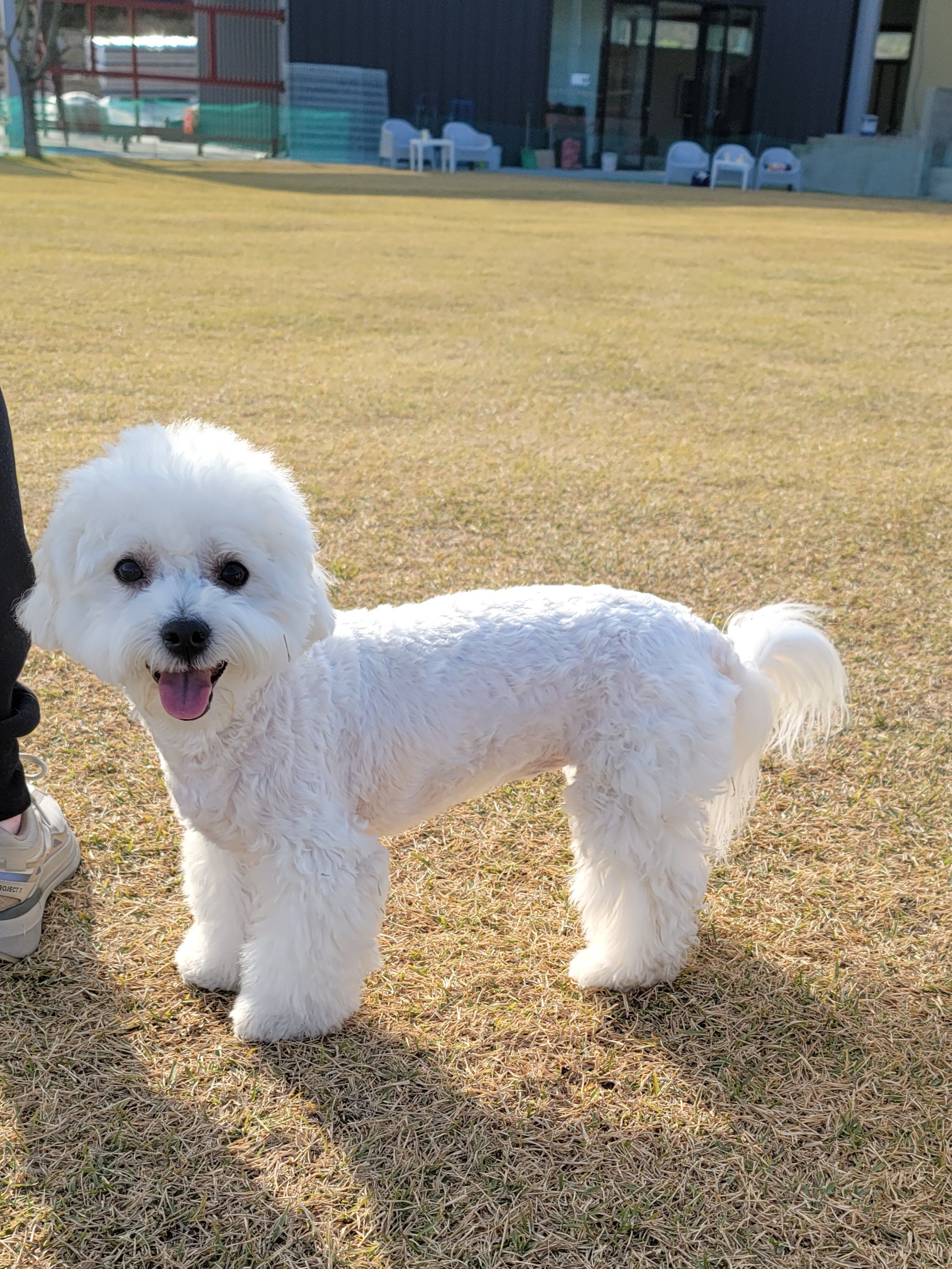 곤지암 하음(구름)이 하삼(봄)이 1년됐어요!