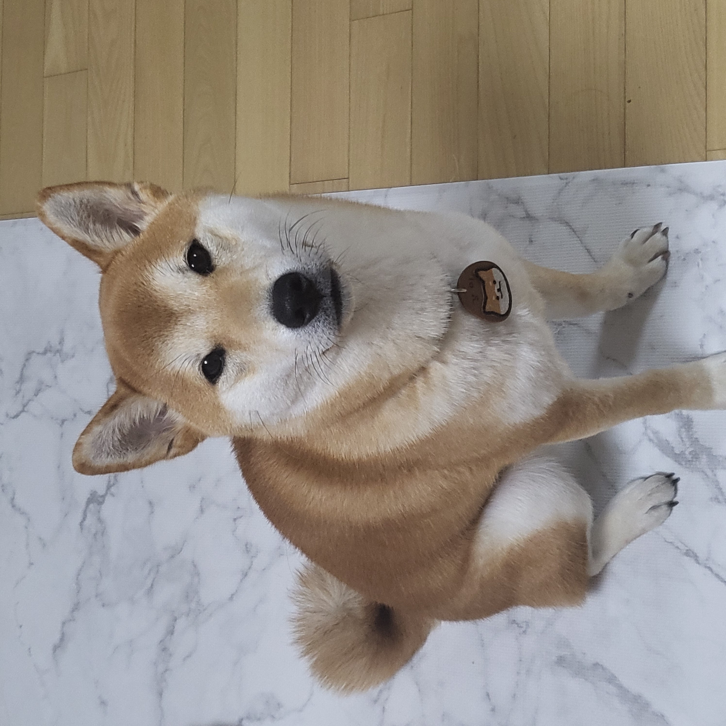 곤지암 세시 강이 1년♡