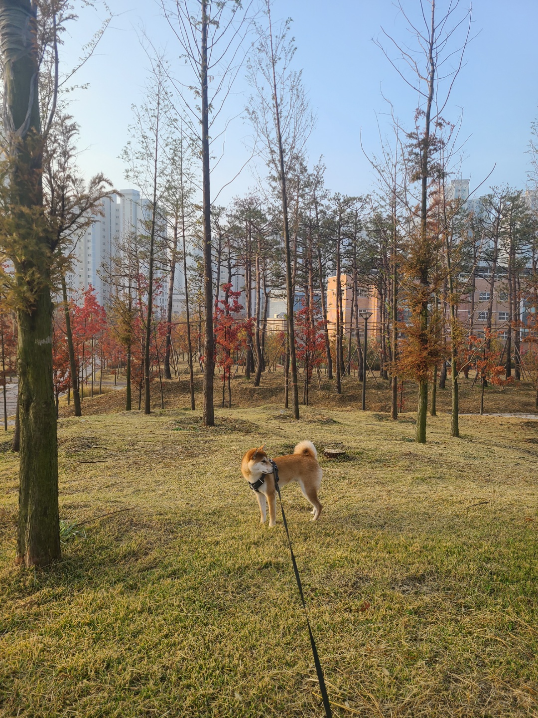 곤지암 세시 강이 1년♡
