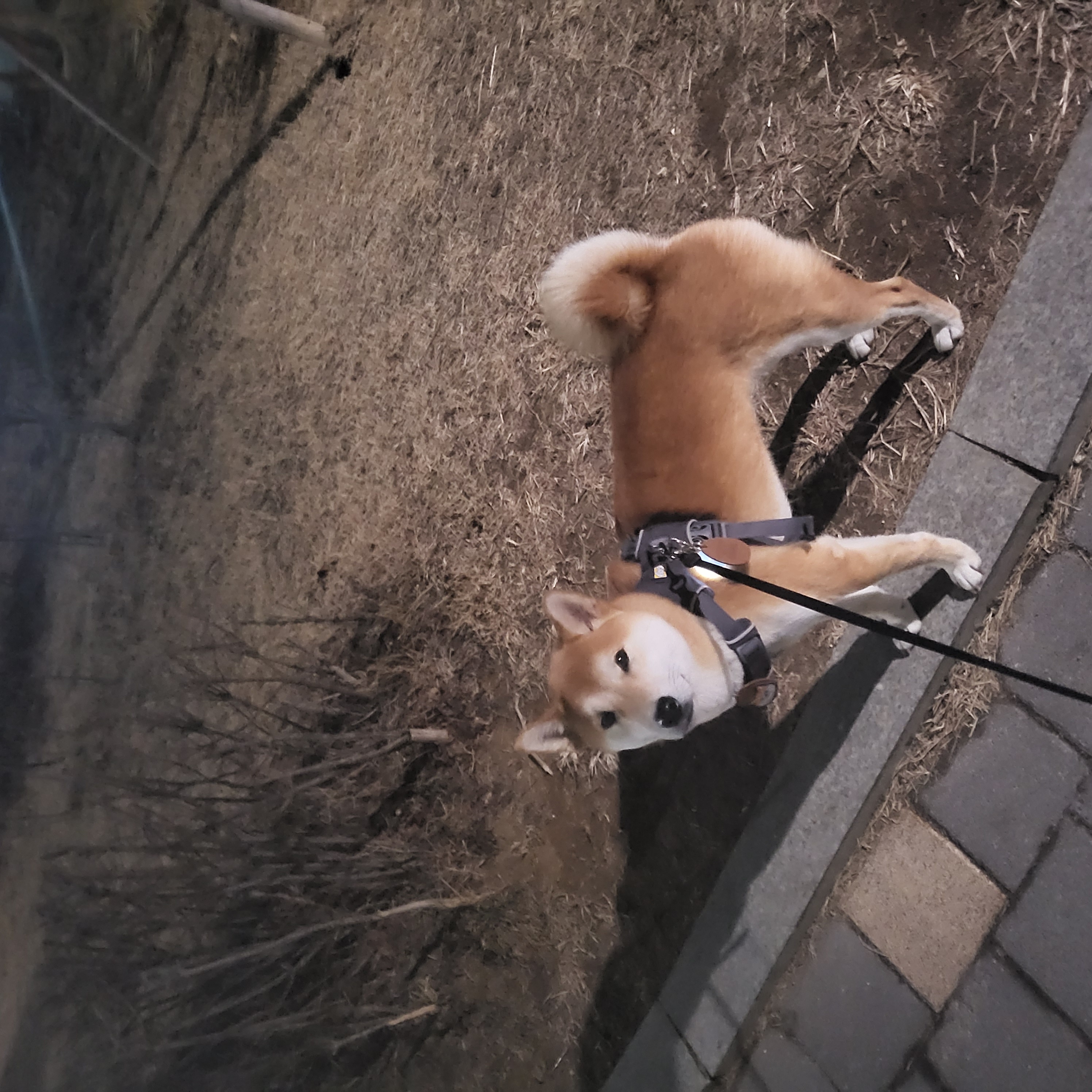 곤지암 세시 강이 1년♡