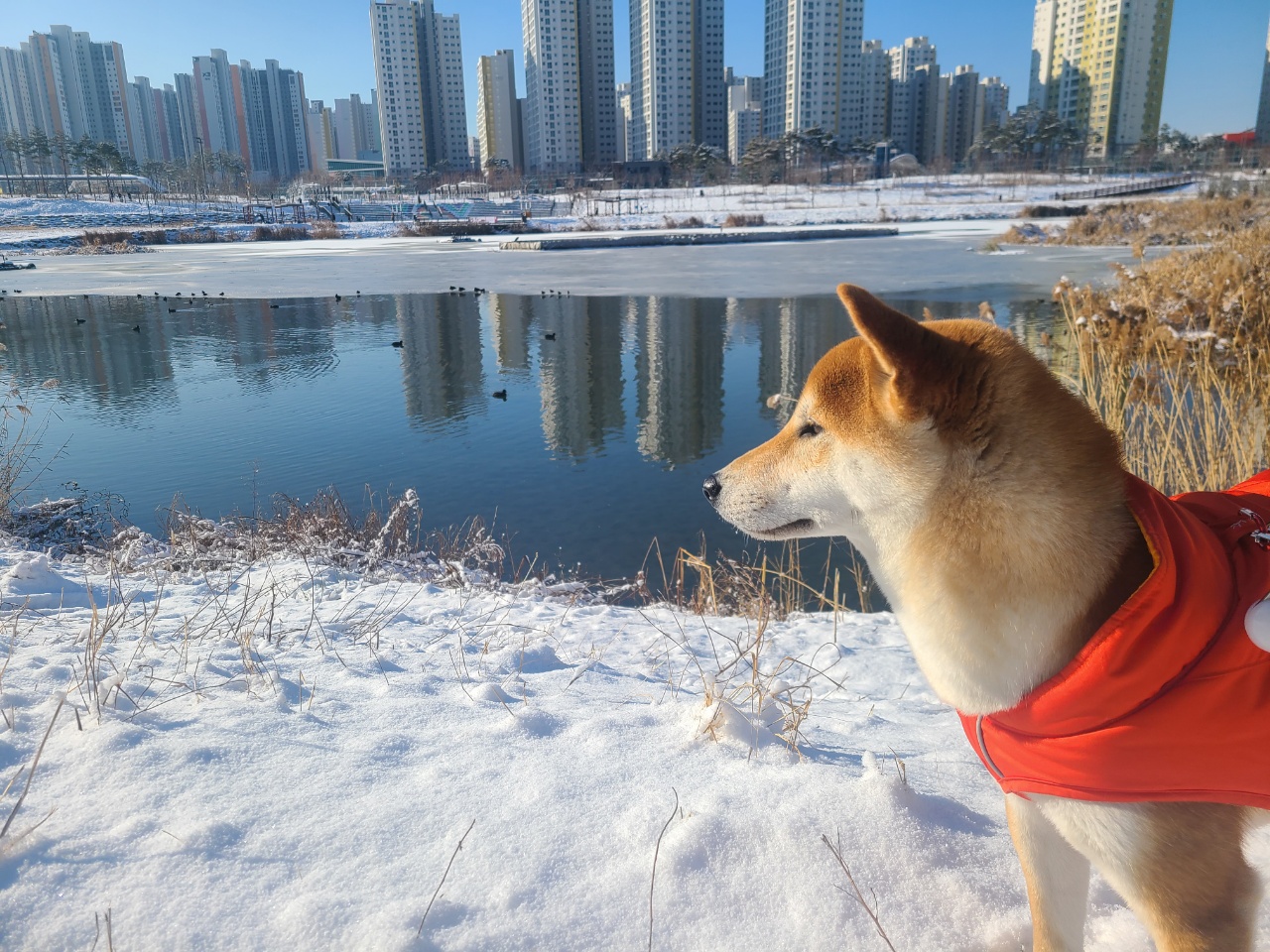 곤지암 세시 강이 1년♡