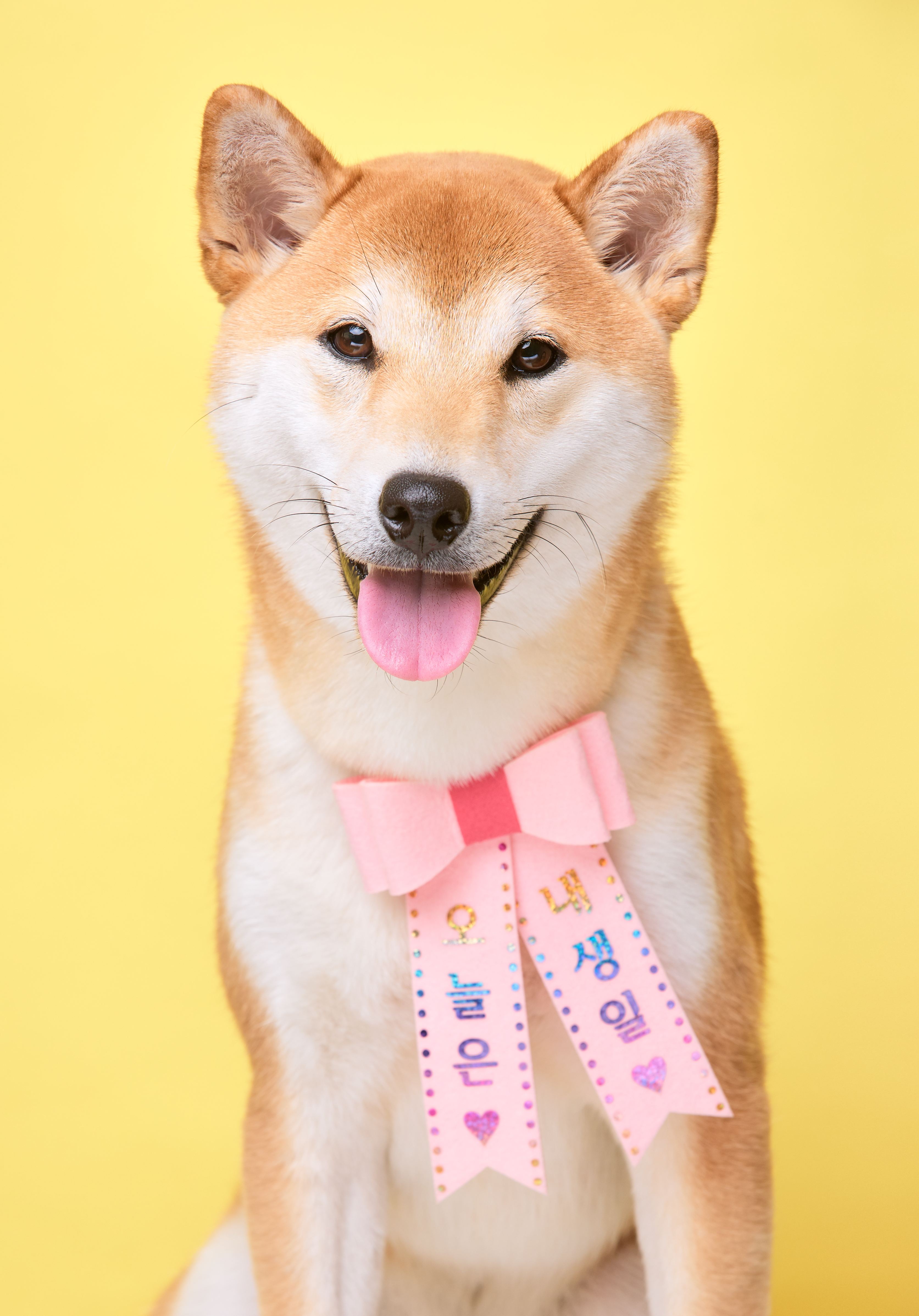 곤지암 세시 강이 1년♡