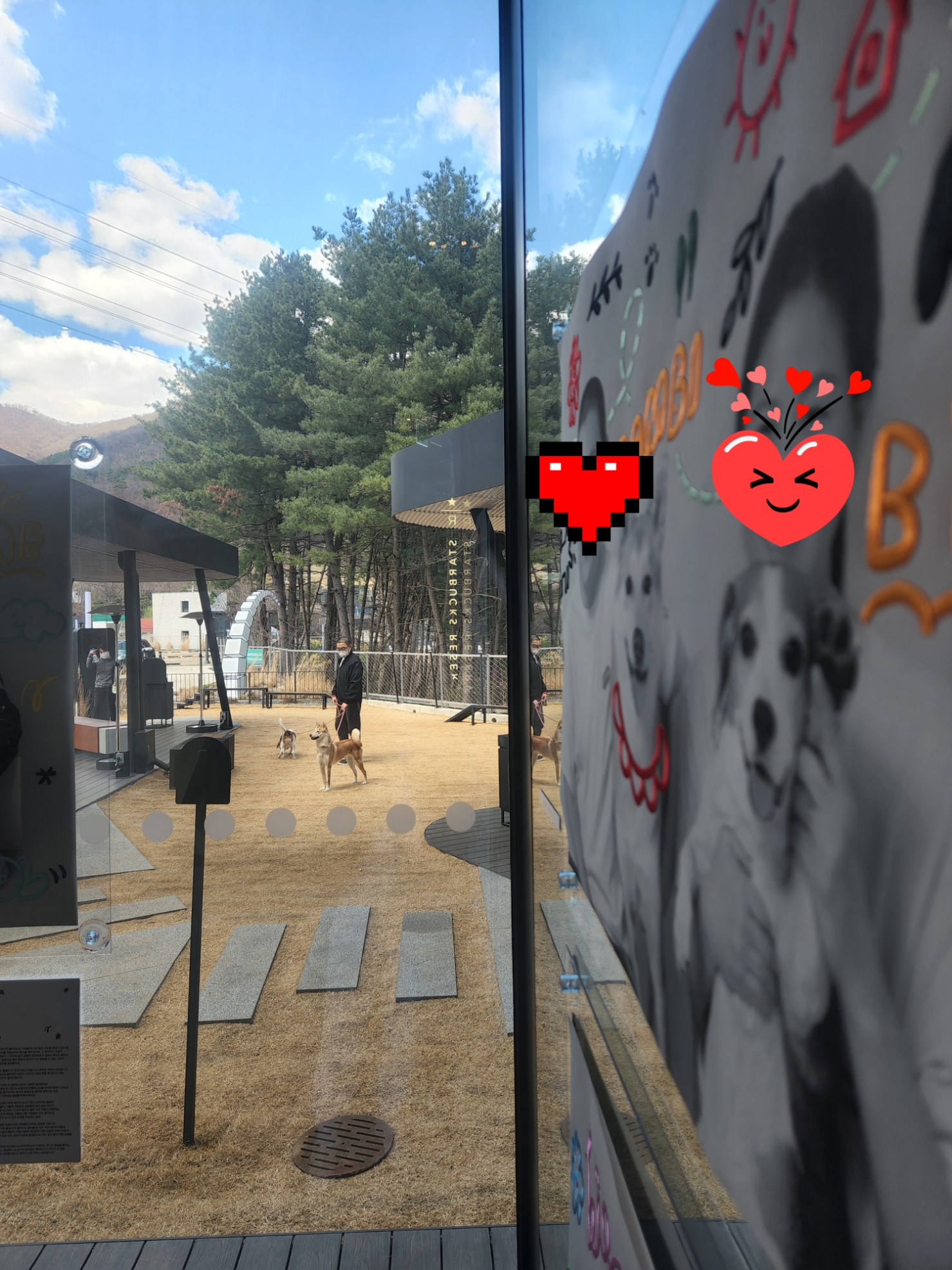 4월 1일은 밤비 생일 입니다.