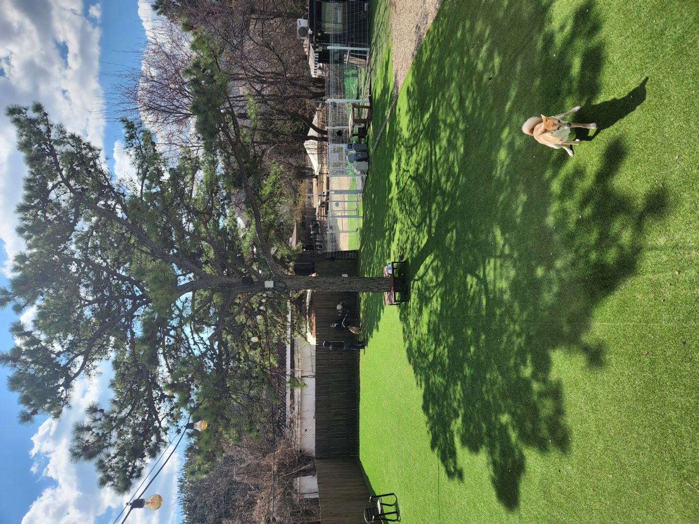 4월 1일은 밤비 생일 입니다.