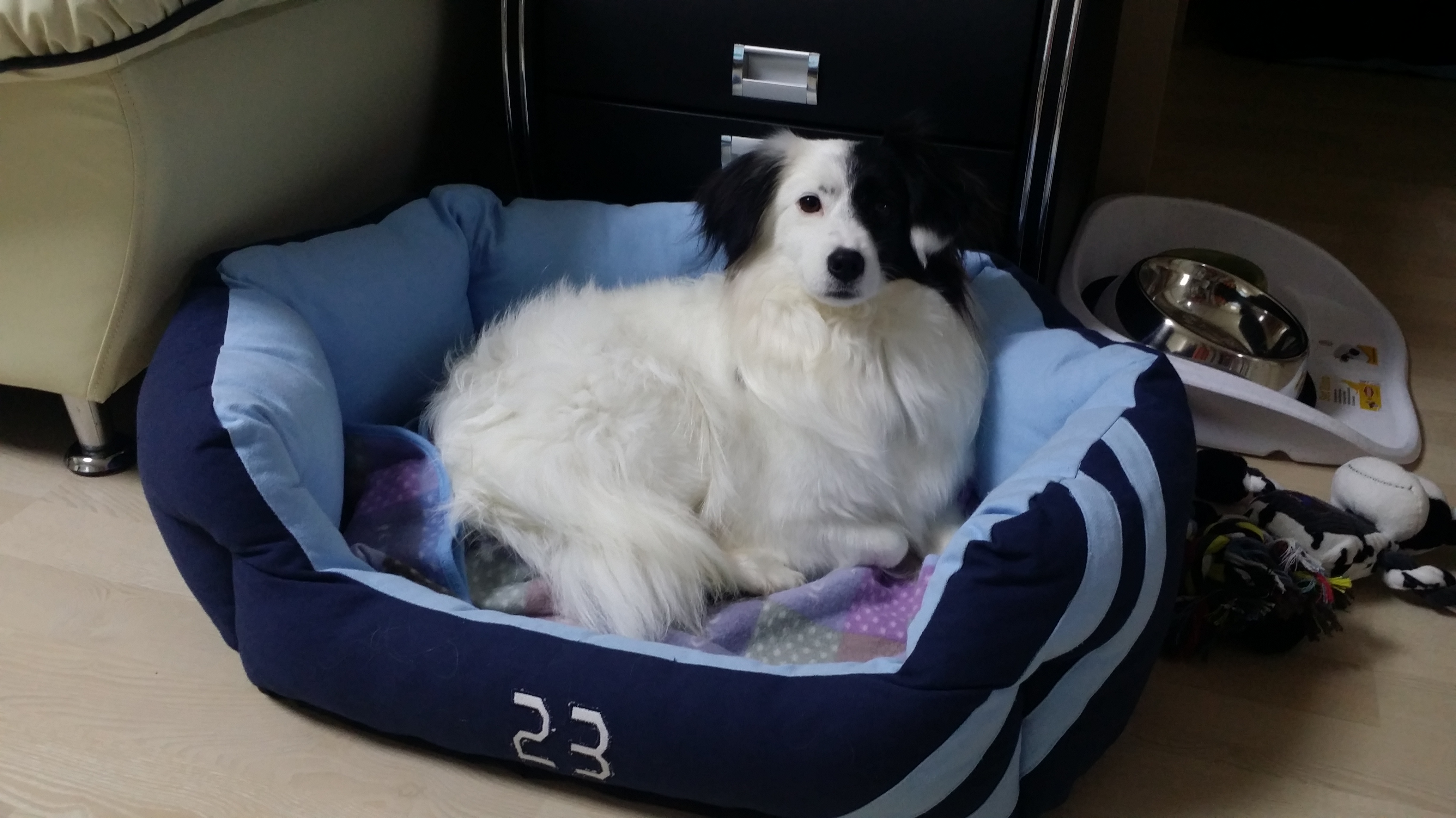 ❤️오랜만에 두렁이 인사드려용❤️