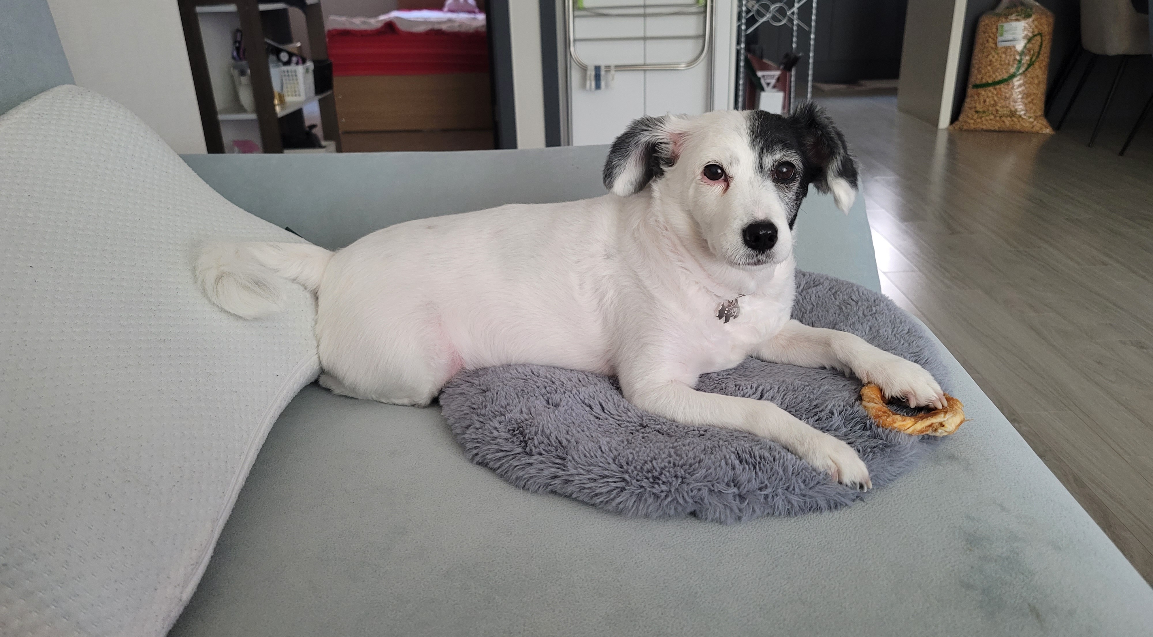 ❤️오랜만에 두렁이 인사드려용❤️