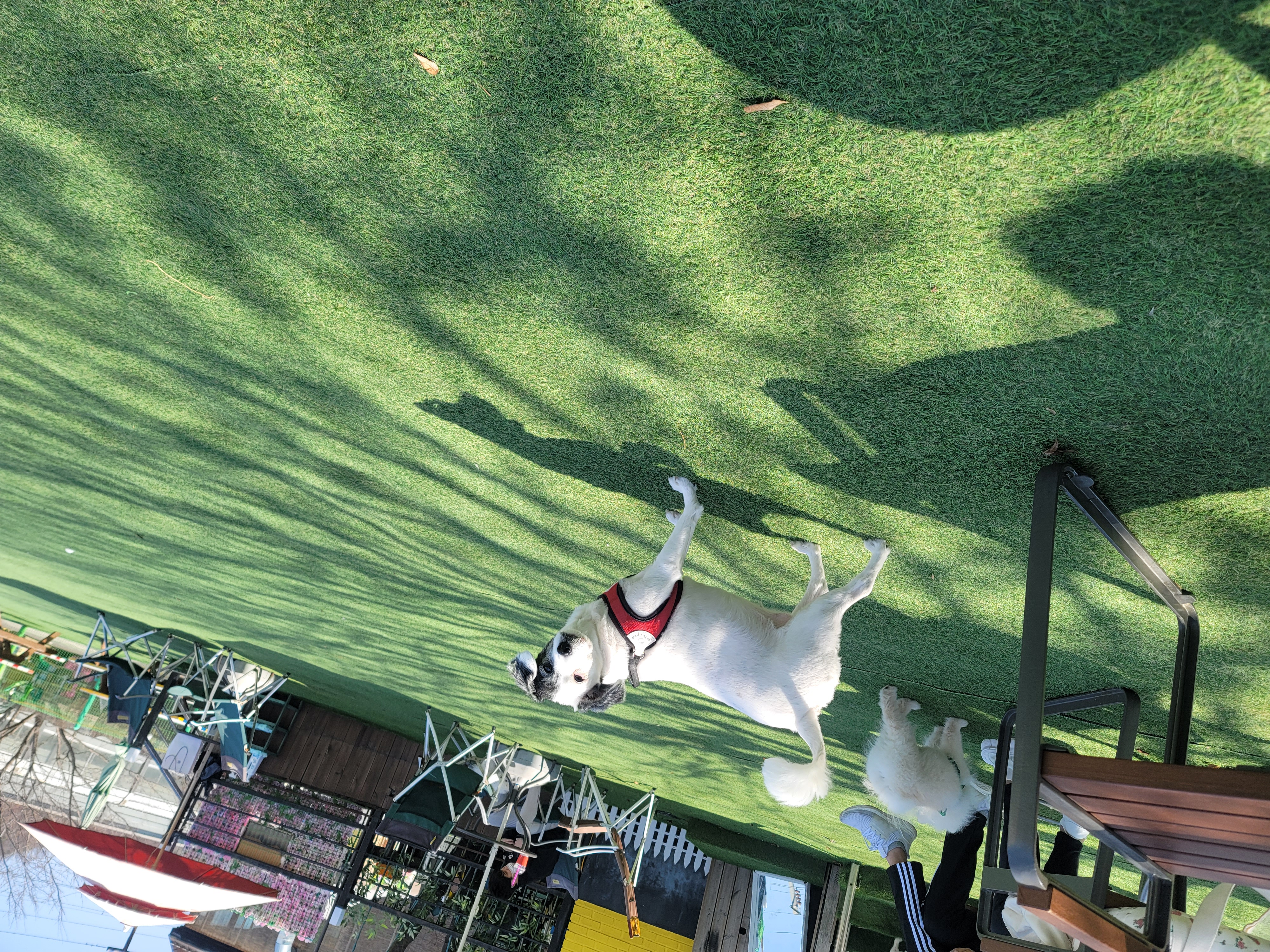 ❤️오랜만에 두렁이 인사드려용❤️