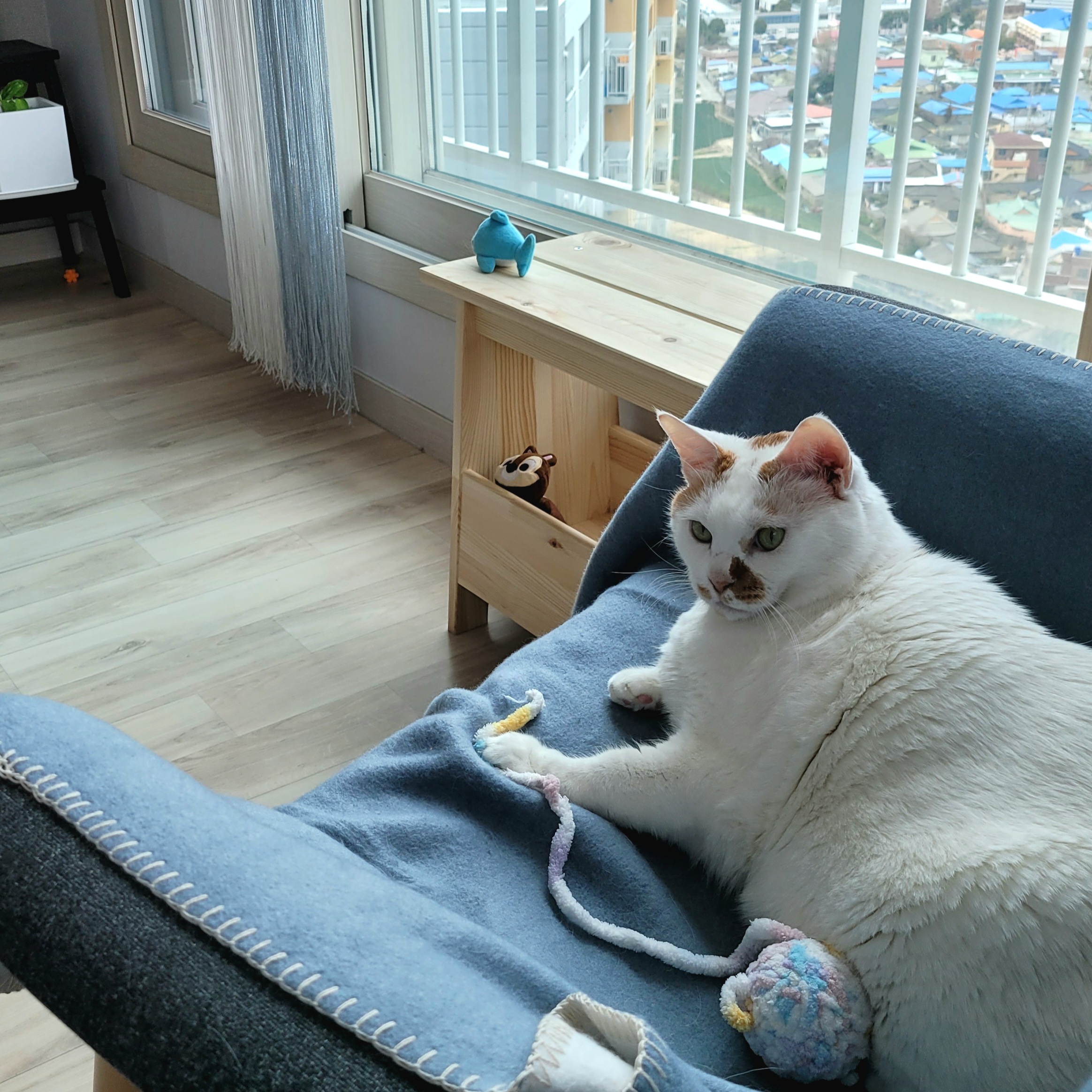 [뻔순이] 2022년 일상