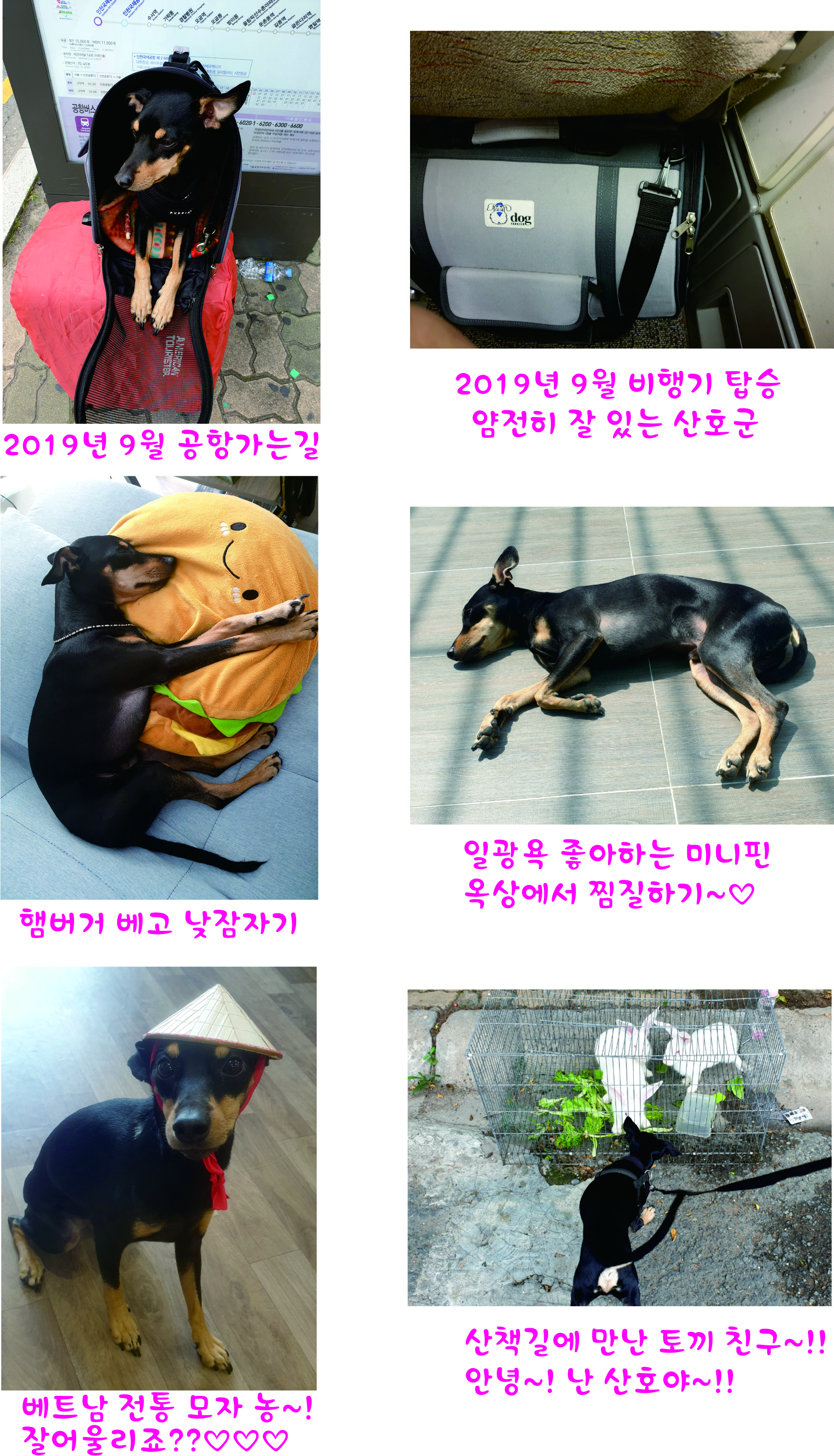 산호~!! 가족이 된지 4년