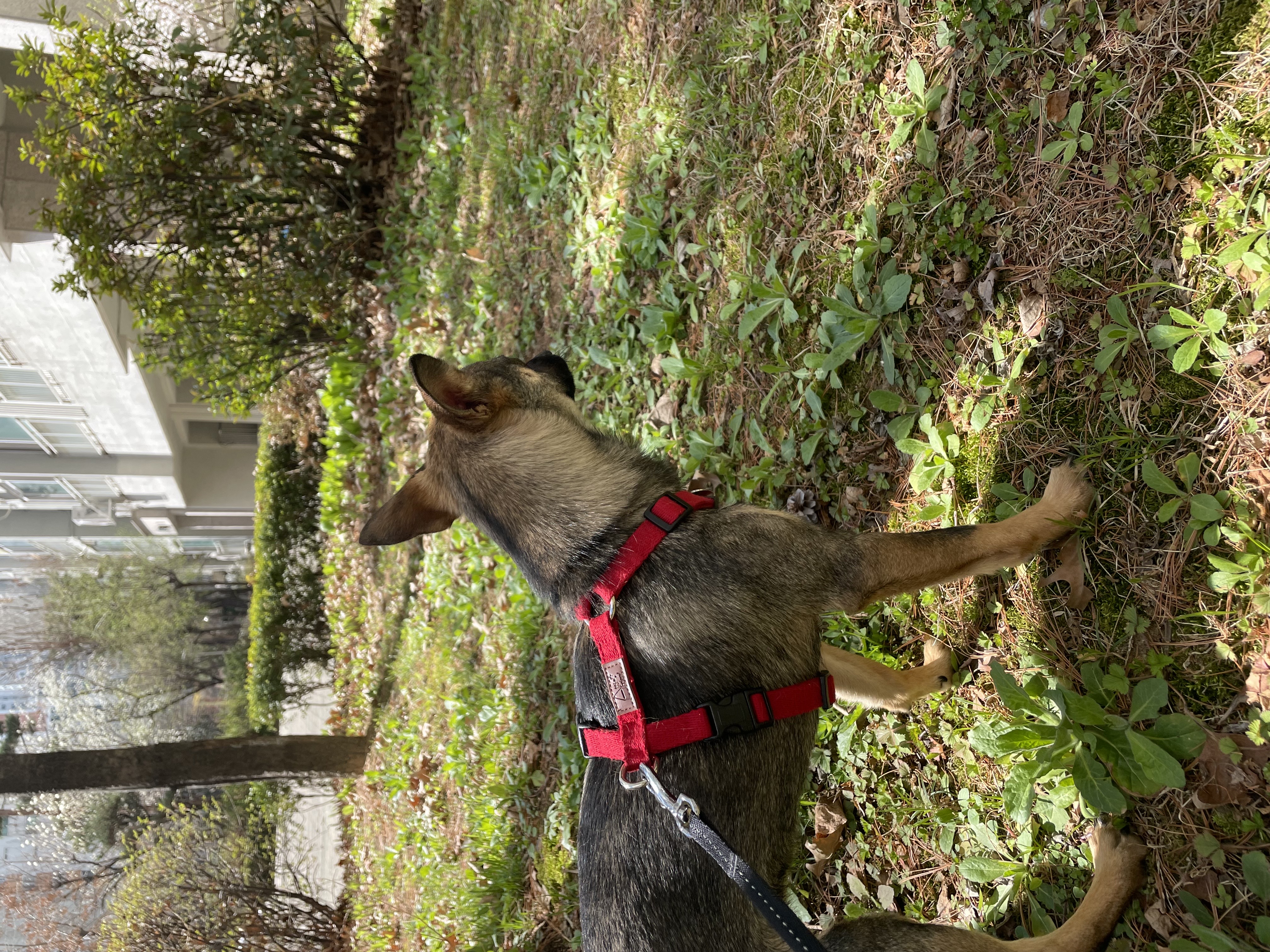 베러와의 세 달